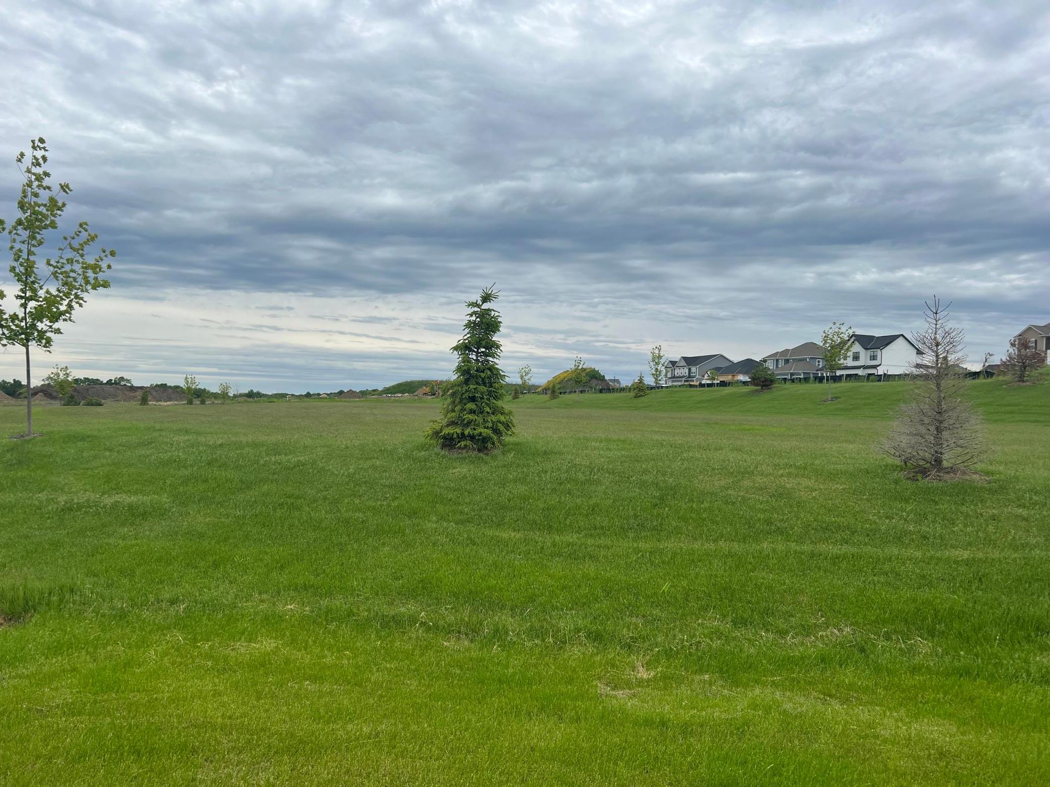 4617 Wolfberry Curve Property Photo 56