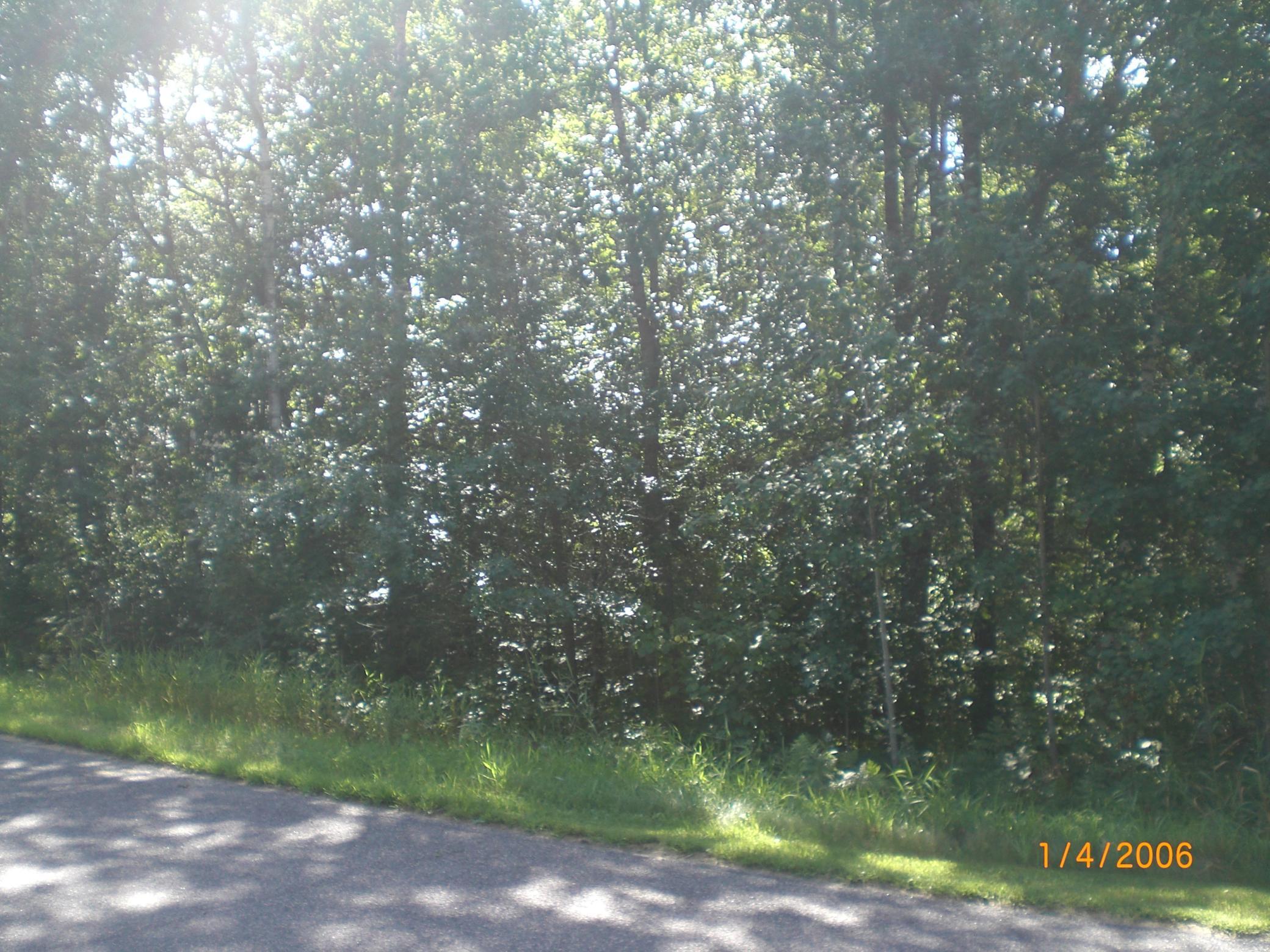 Lot 12 Fallen Leaf Circle Property Photo 3