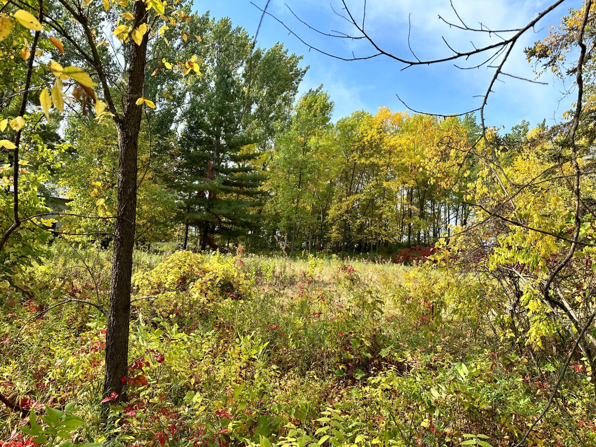 Tbd Wild Rose Trail Property Photo
