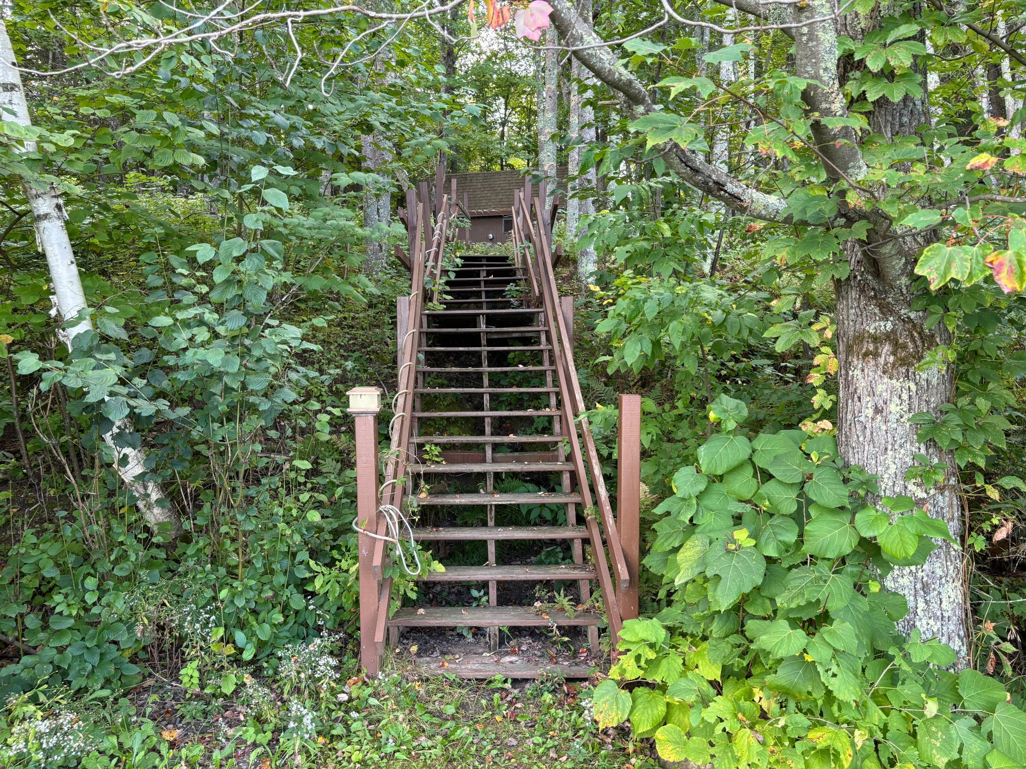 43826 Nature Avenue Property Photo 19