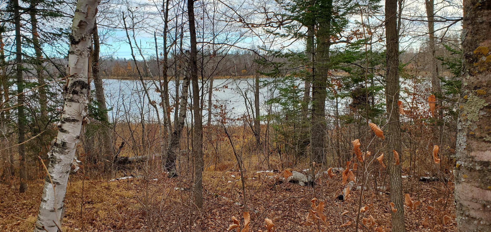 Parcel C Ticonderoga Trail Property Photo 1