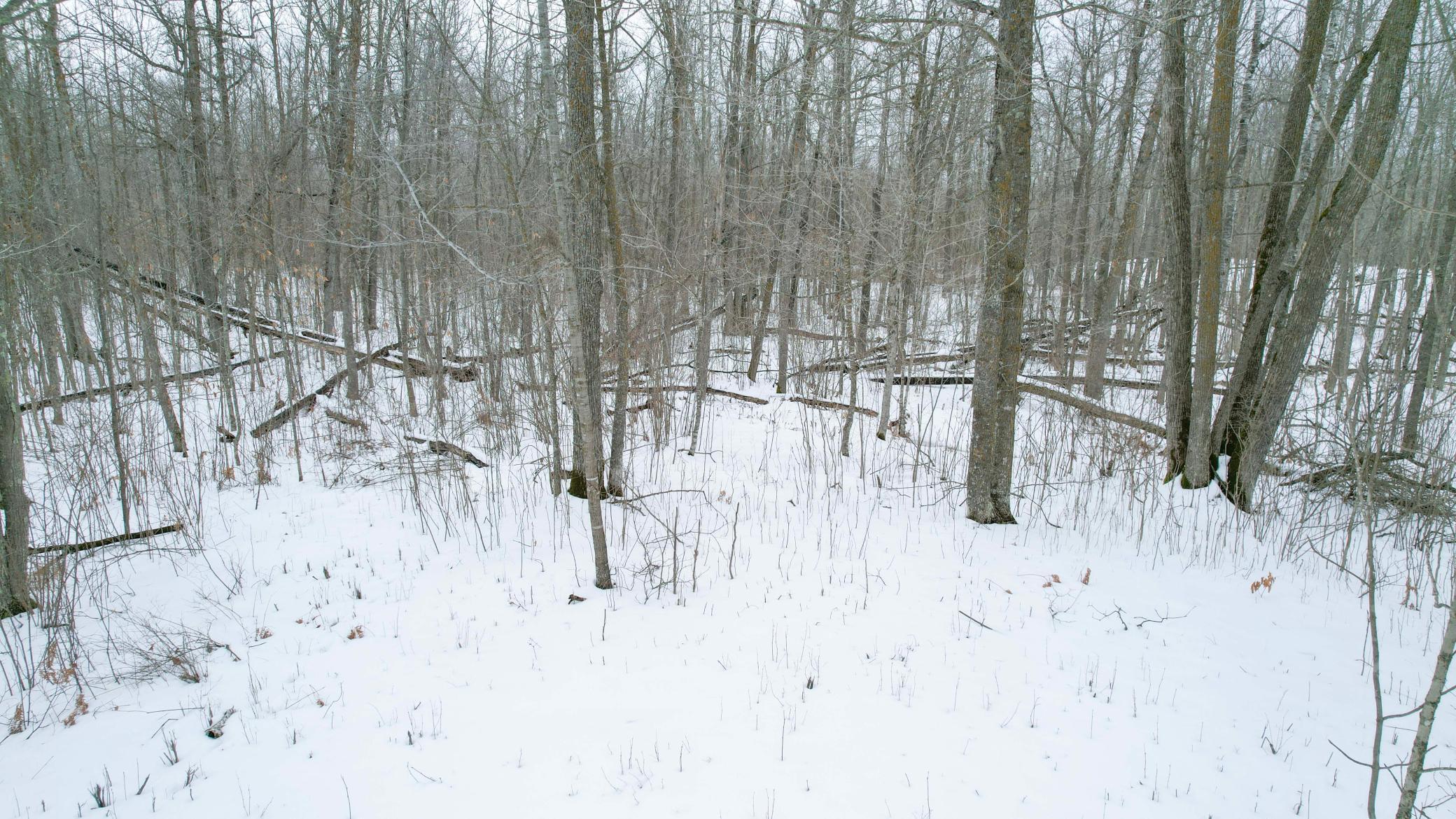 Parcel D Ticonderoga Trail Property Photo
