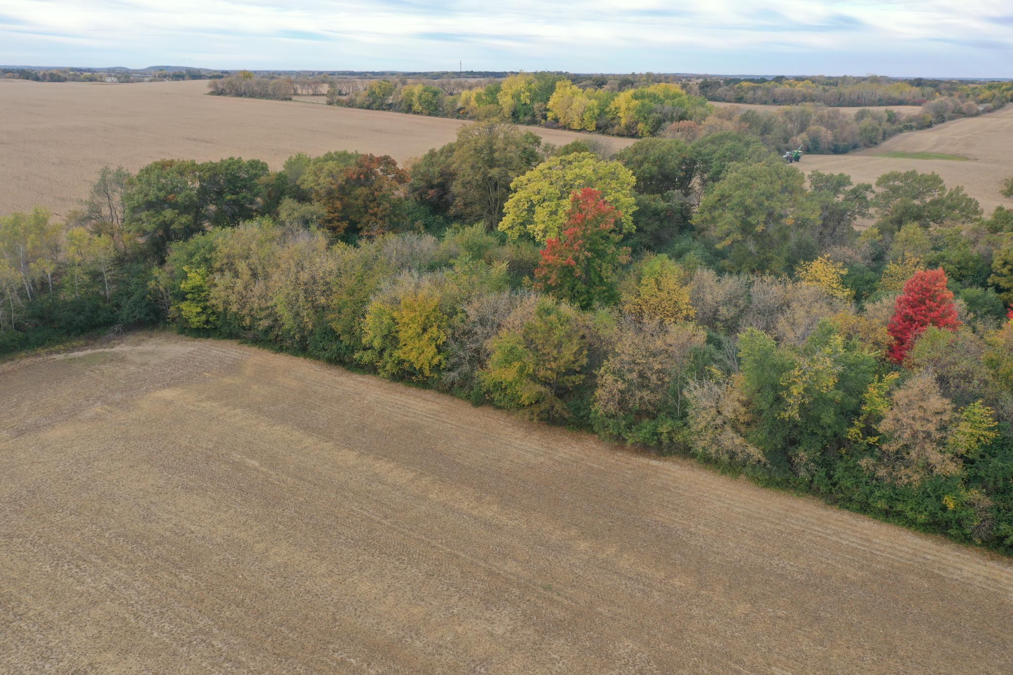 Lot 1 - X 195th Avenue Property Photo 10