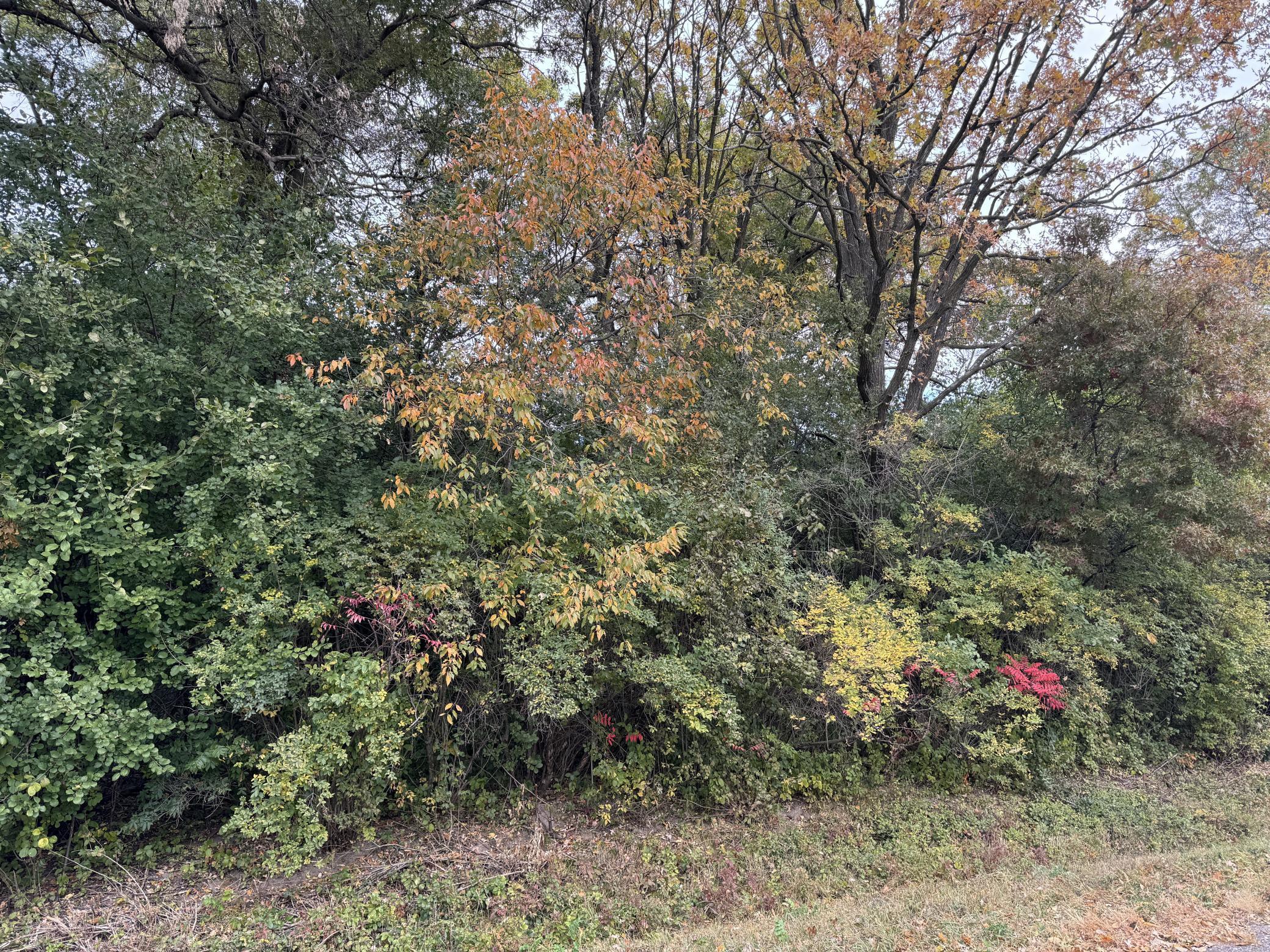 Lot 1 - X 195th Avenue Property Photo 12