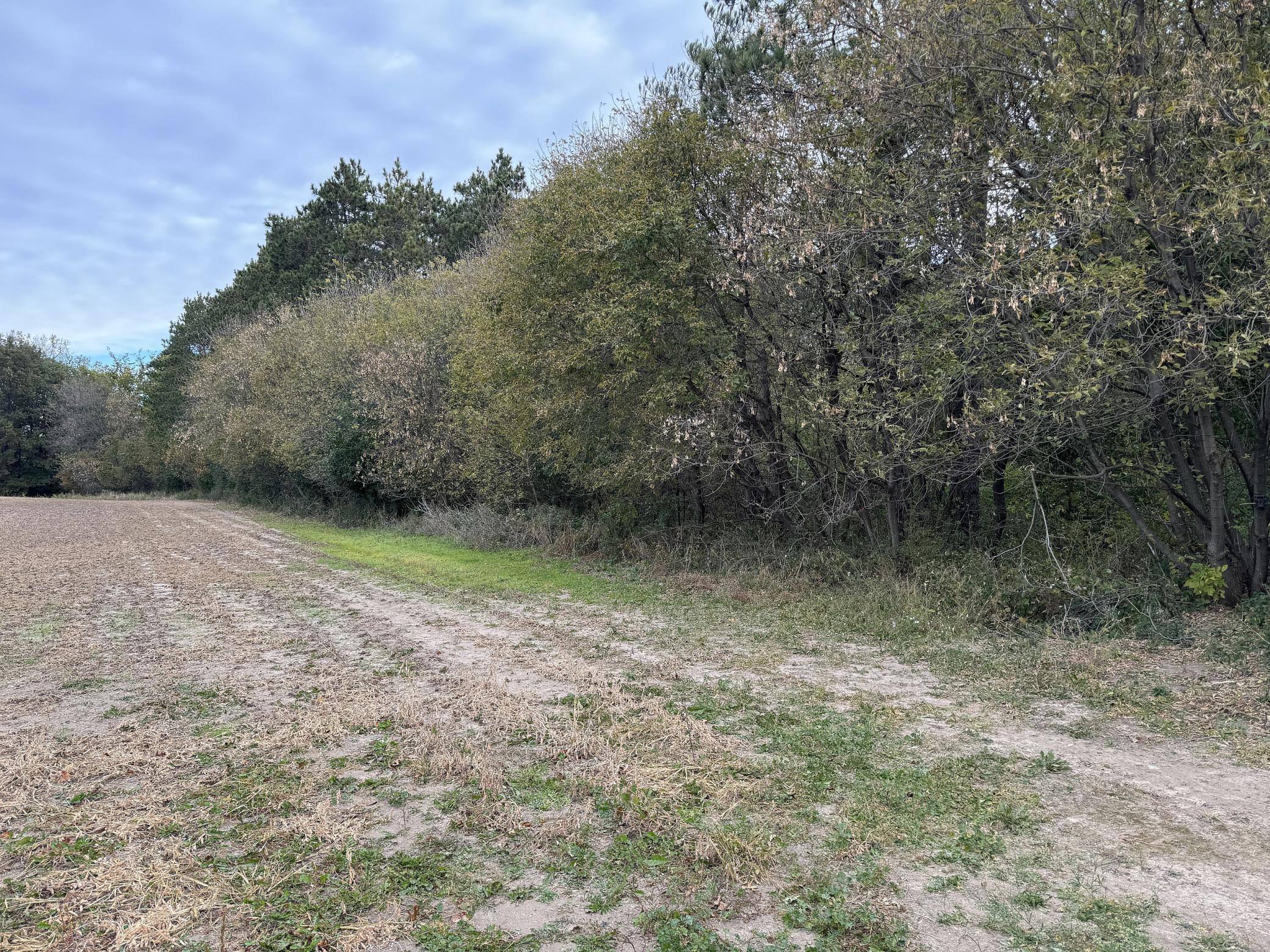 Lot 1 - X 195th Avenue Property Photo 13