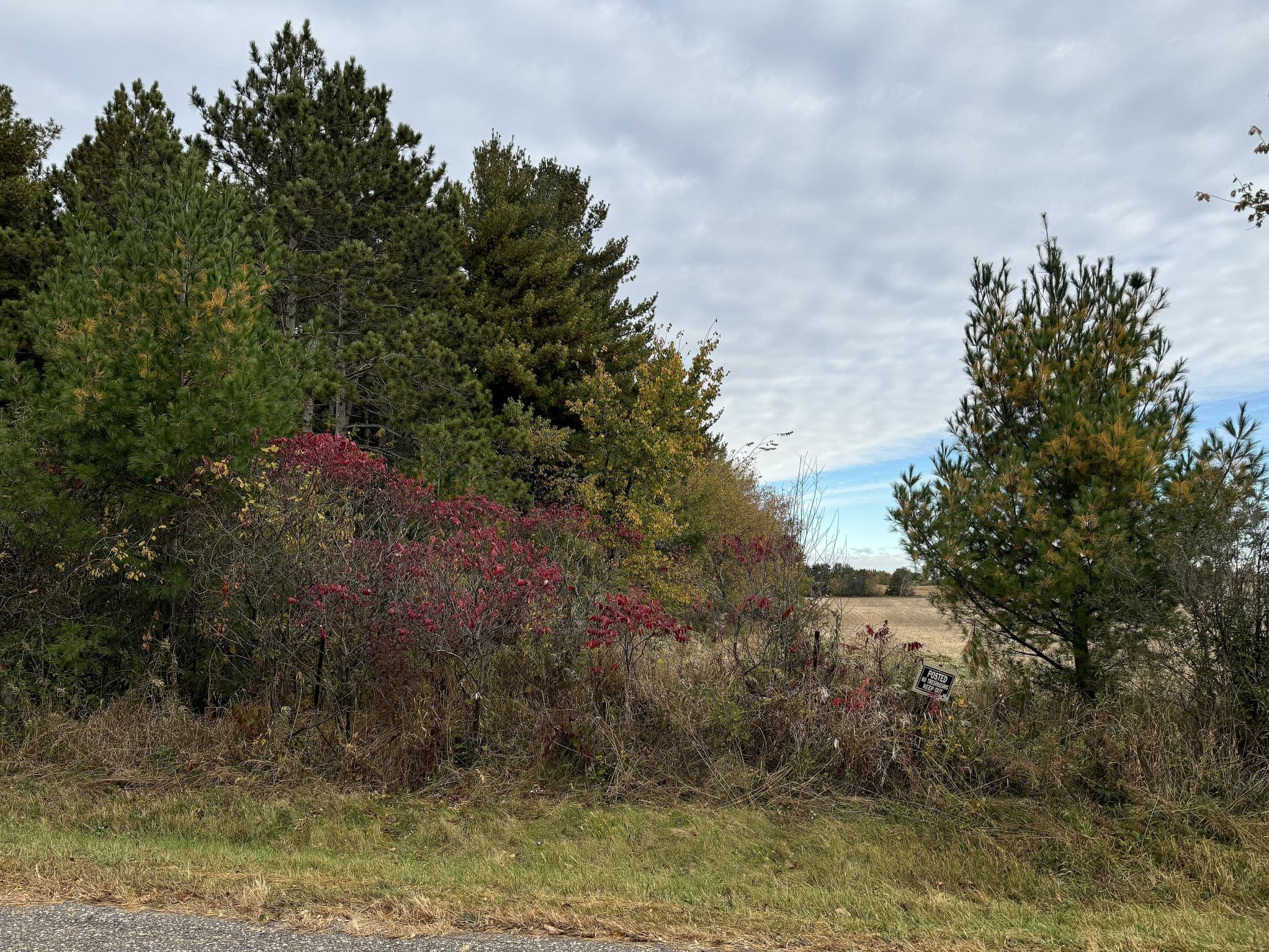 Lot 1 - X 195th Avenue Property Photo 15