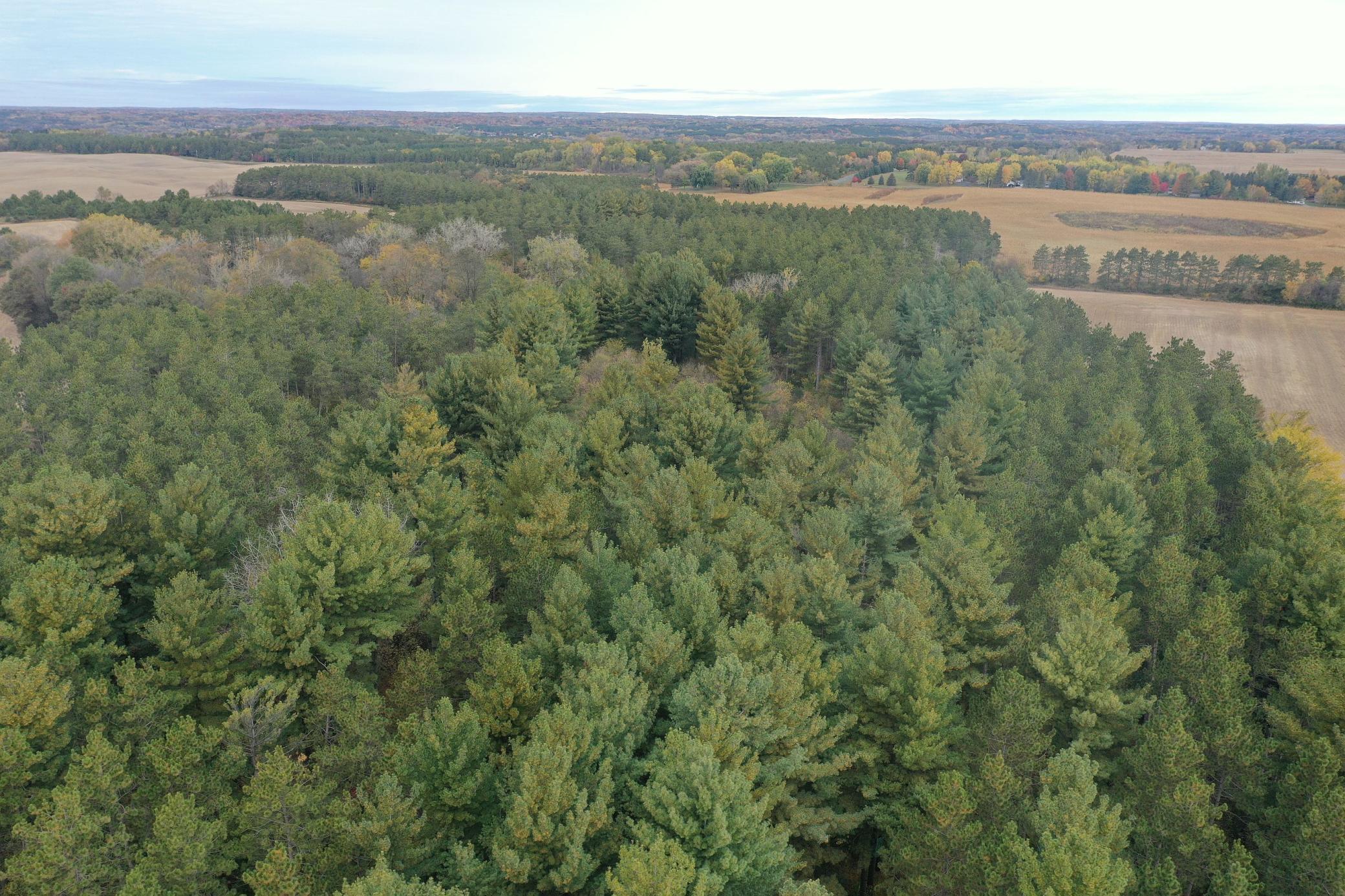 Lot 1 - X 195th Avenue Property Photo 16