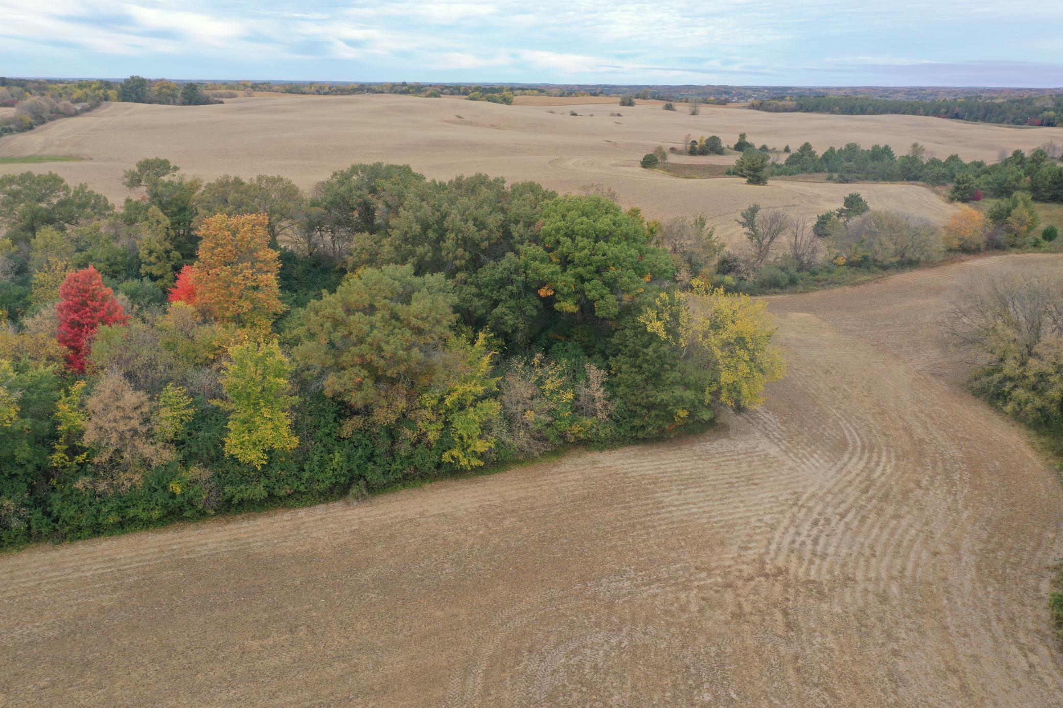 Lot 1 - X 195th Avenue Property Photo 21