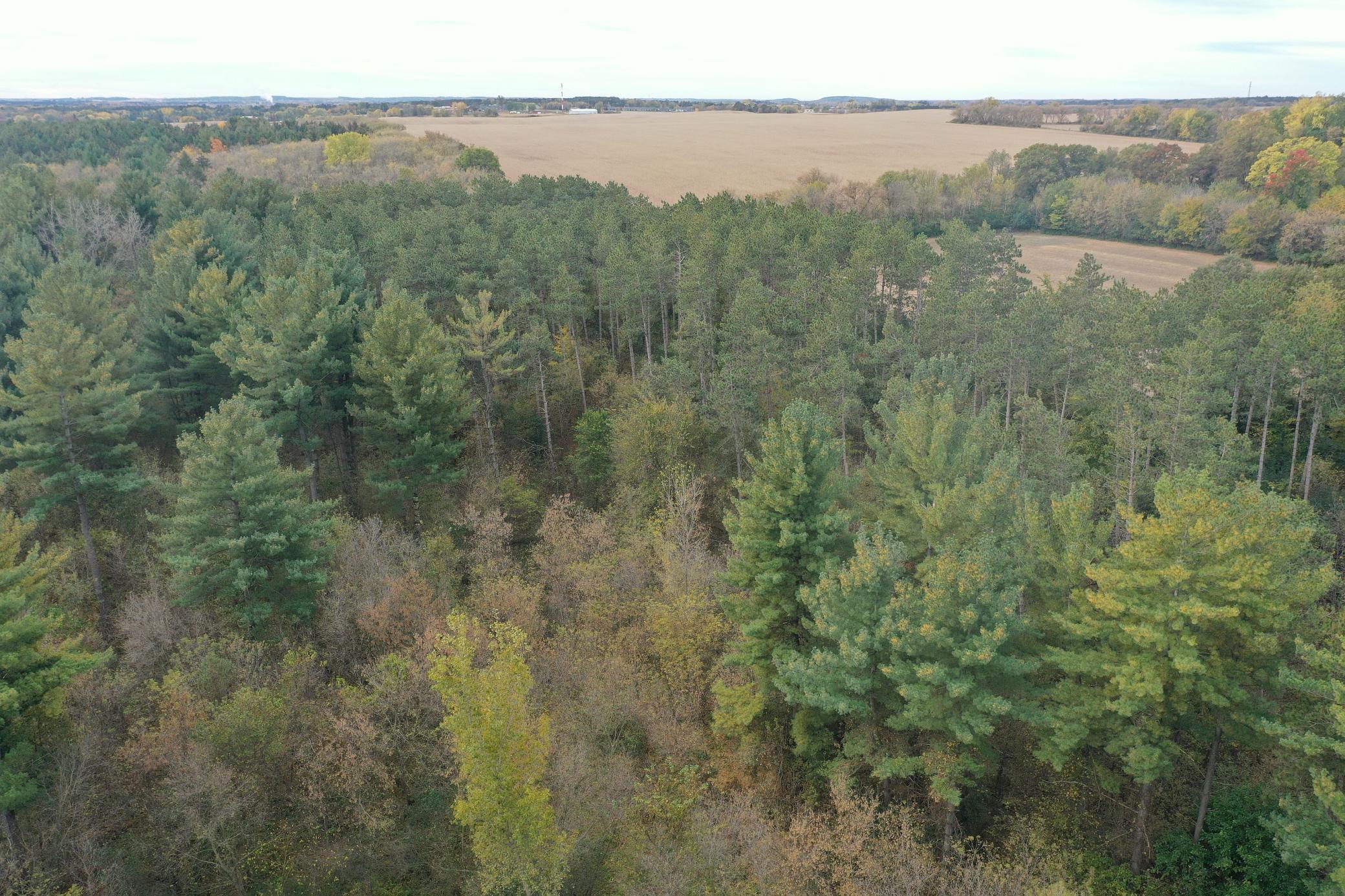 Lot 1 - X 195th Avenue Property Photo 23