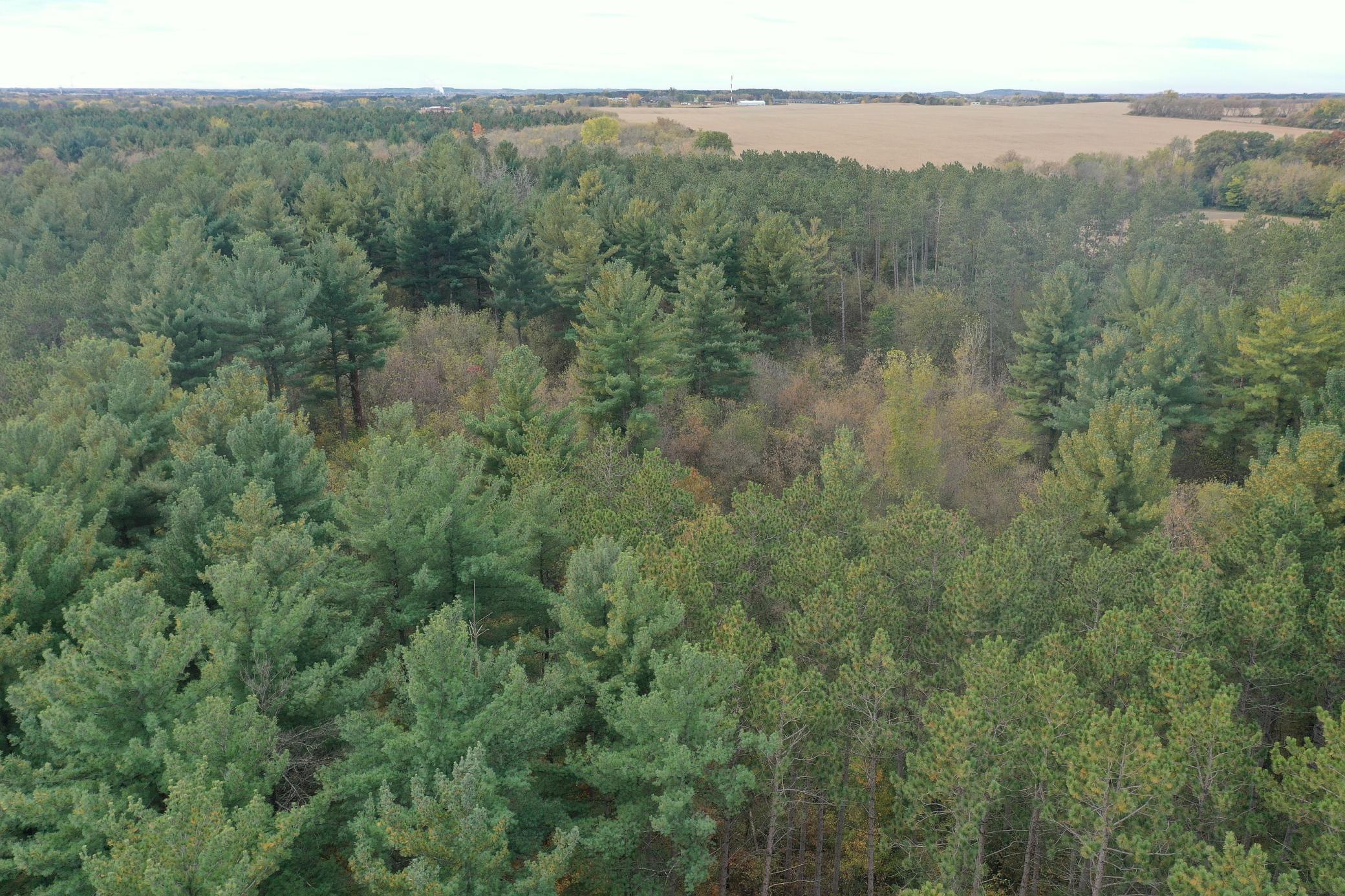 Lot 3 - Xxx 195th Avenue Property Photo 23