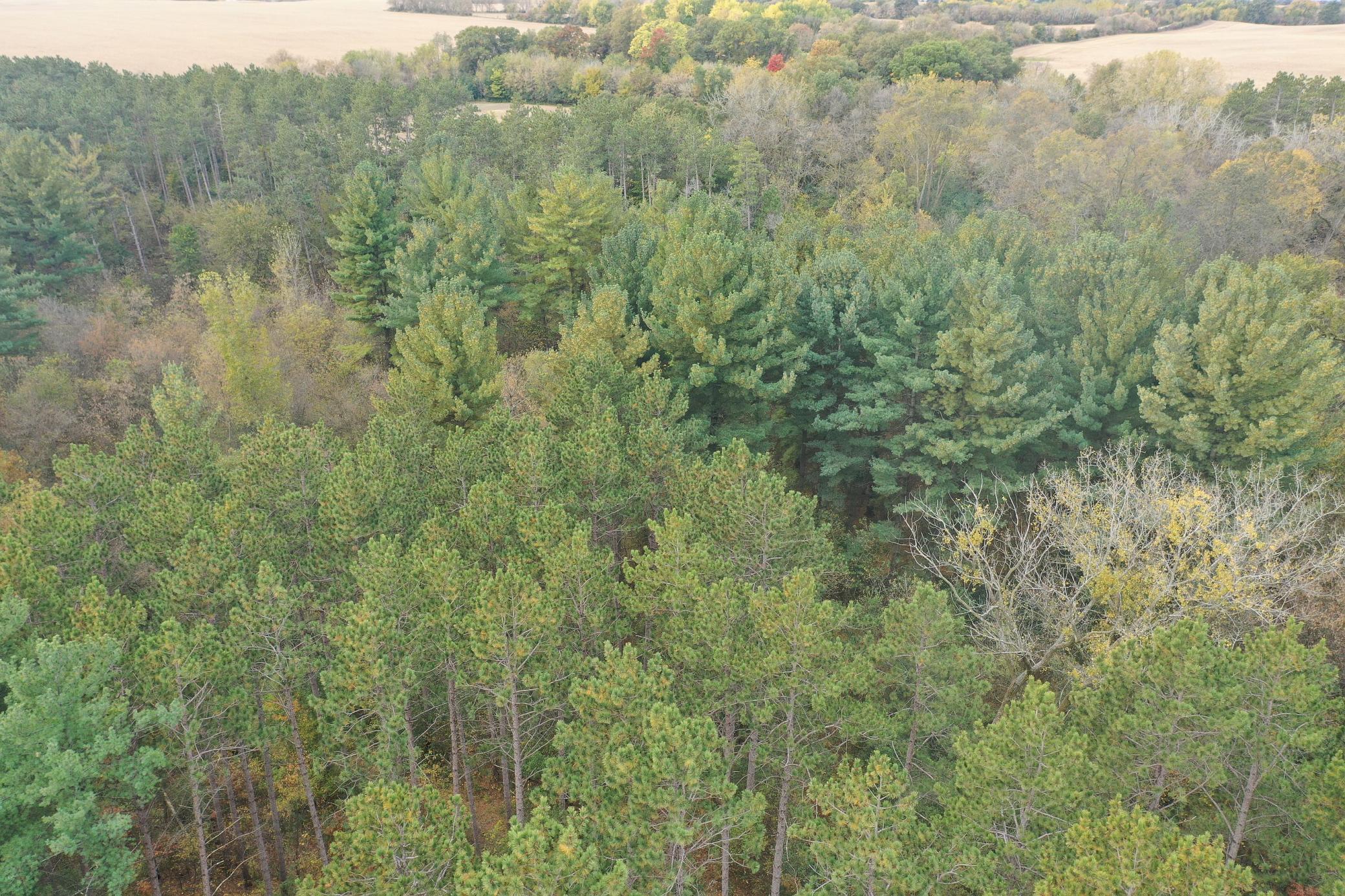 Lot 3 - Xxx 195th Avenue Property Photo 25
