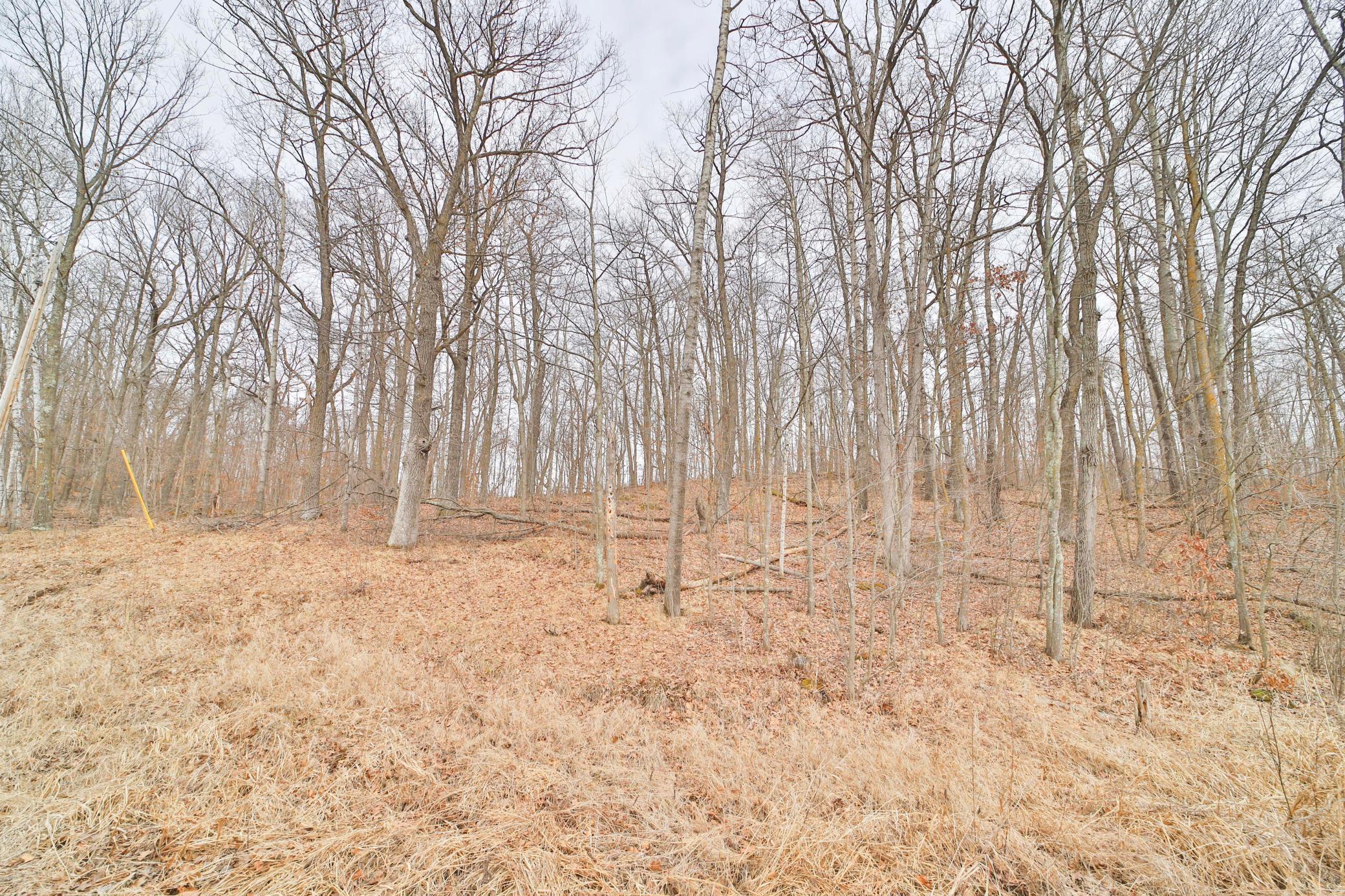 Tbd Overlook Drive Property Photo 2
