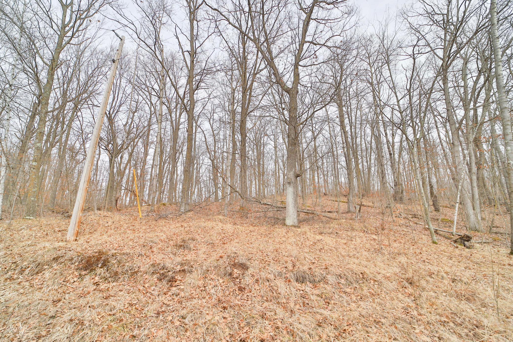 Tbd Overlook Drive Property Photo 3