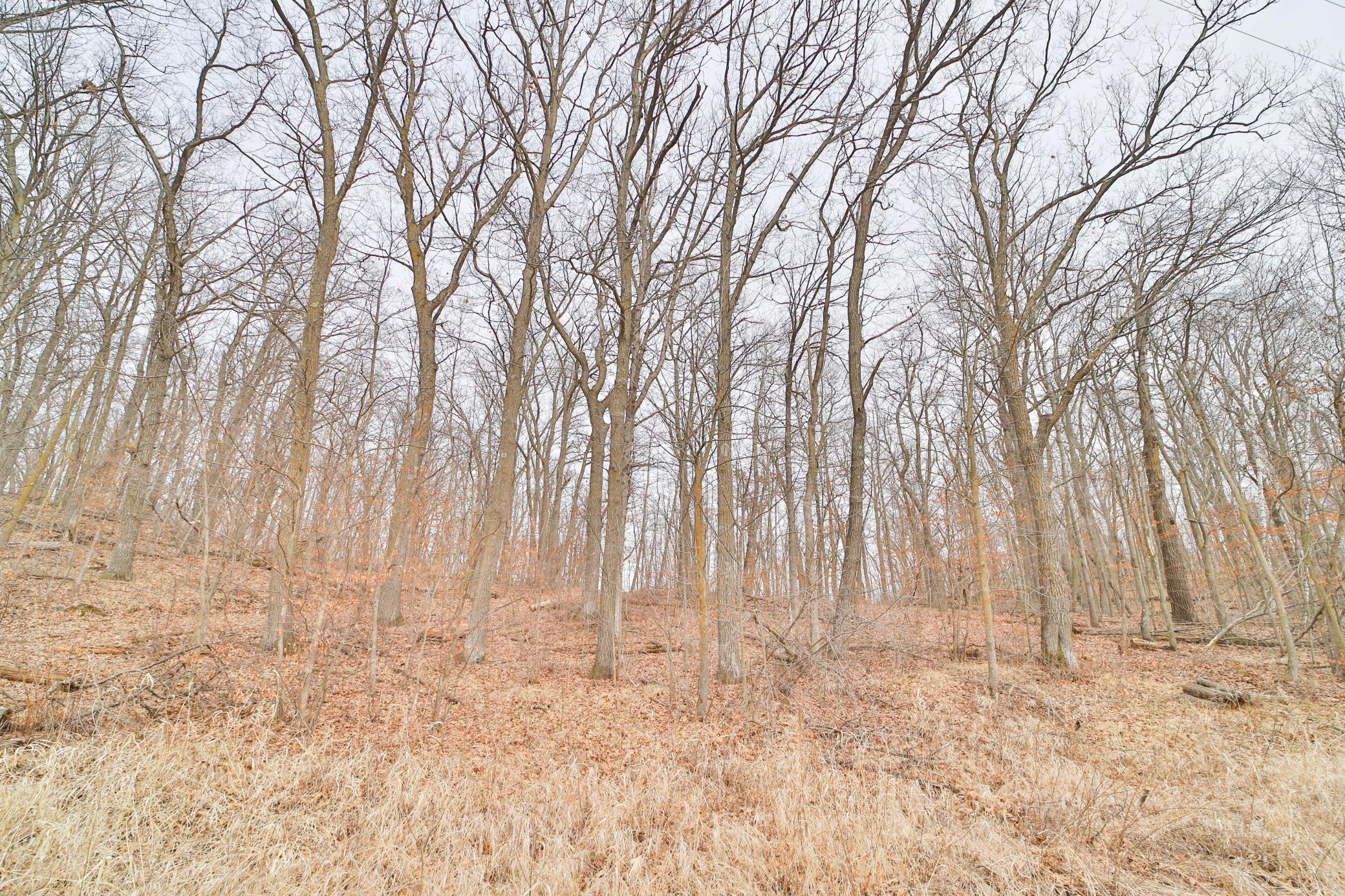 Tbd Overlook Drive Property Photo 7