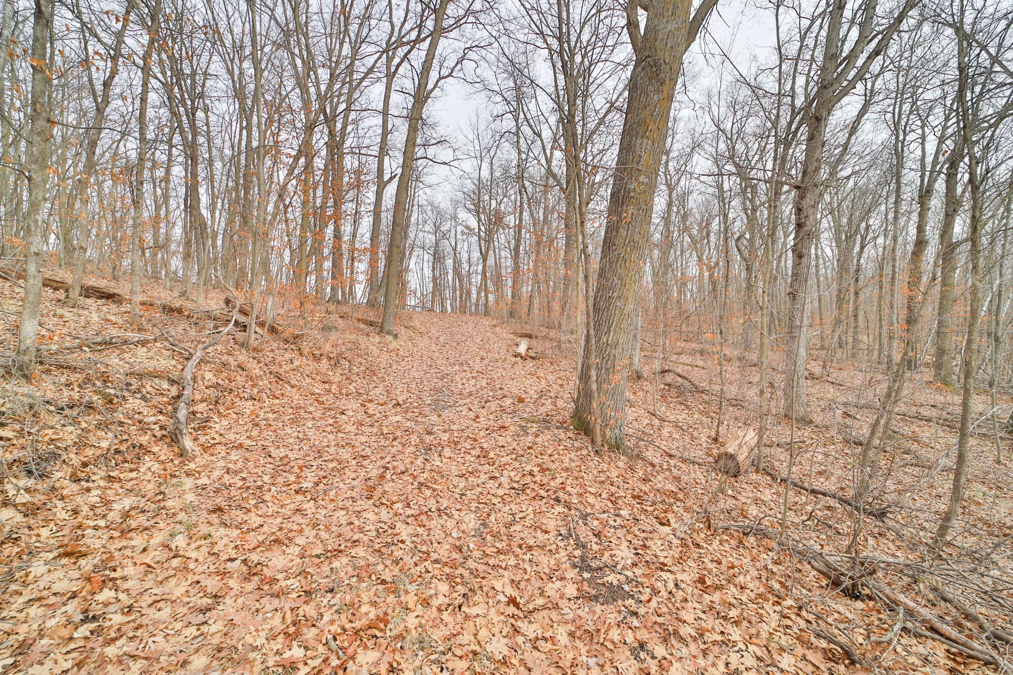 Tbd Overlook Drive Property Photo 9