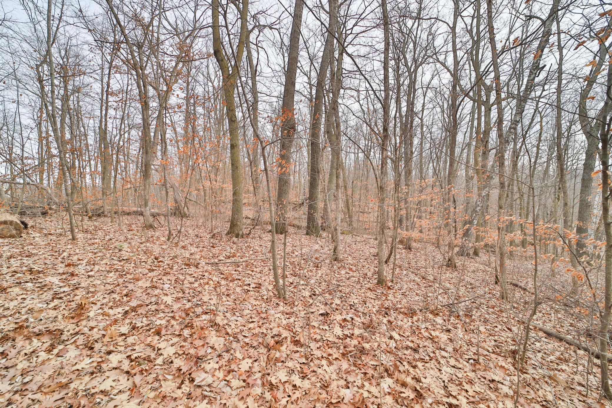 Tbd Overlook Drive Property Photo 10