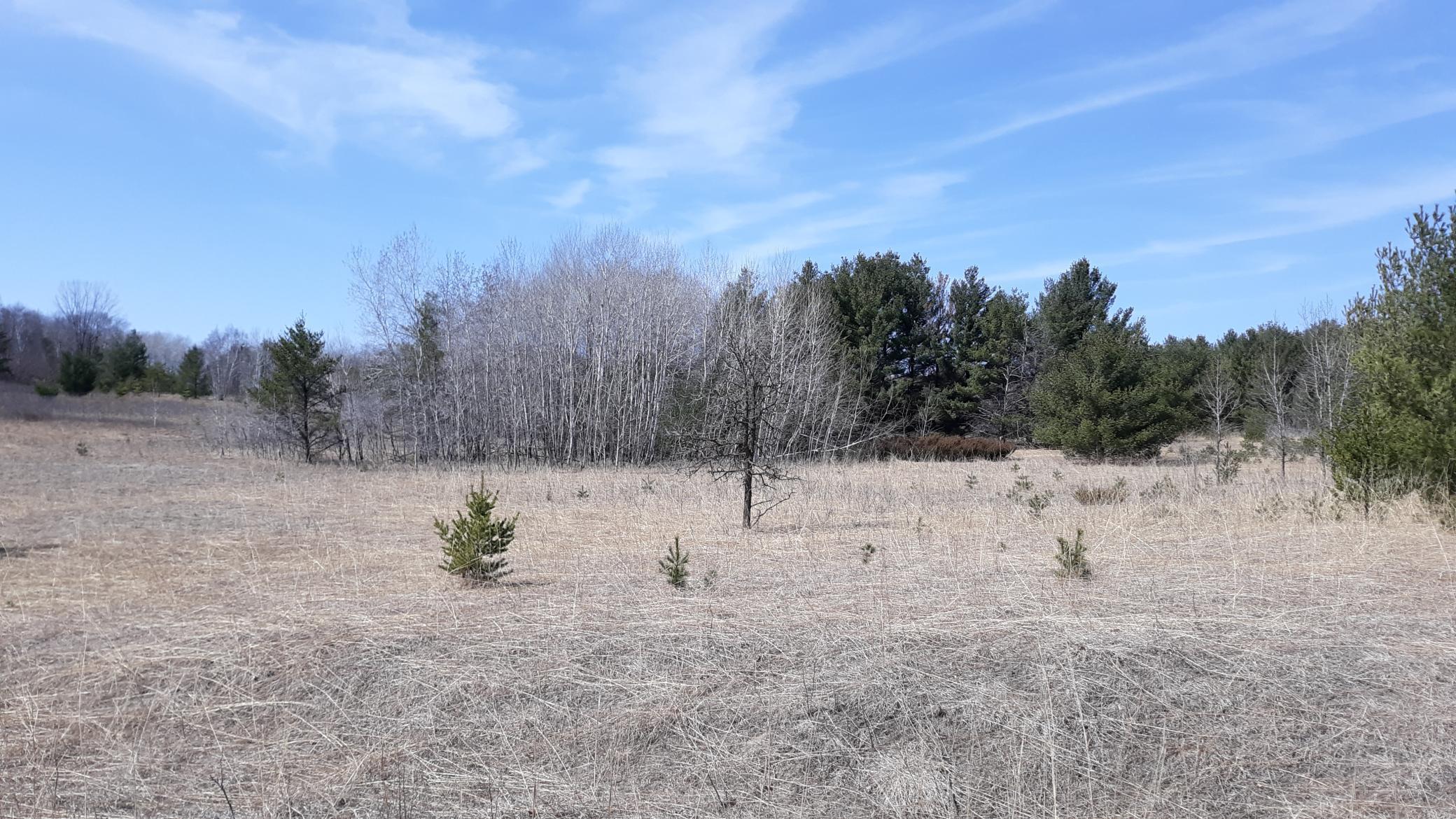 Xx Pacer Loop Property Photo 3