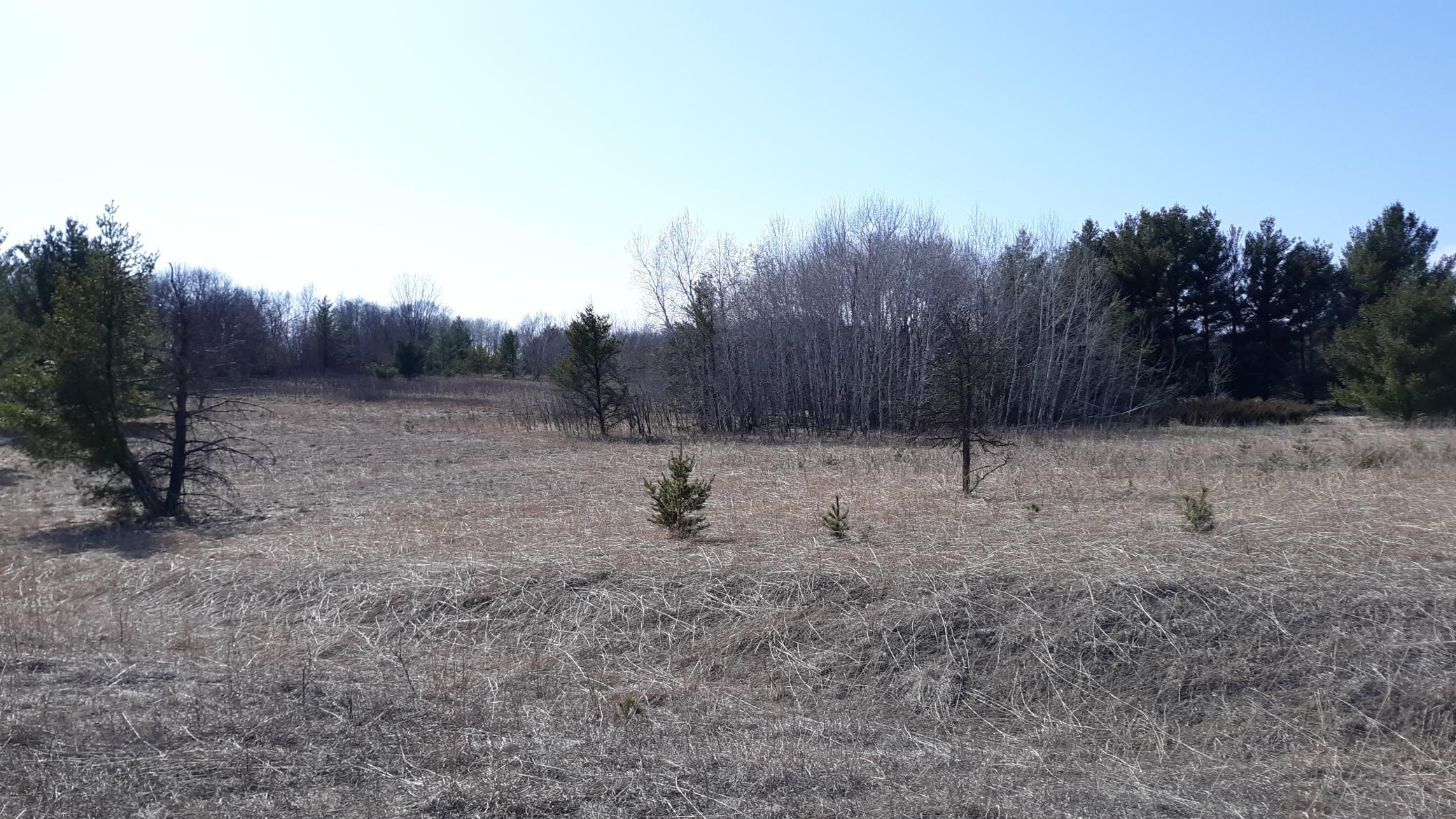 Xx Pacer Loop Property Photo 4