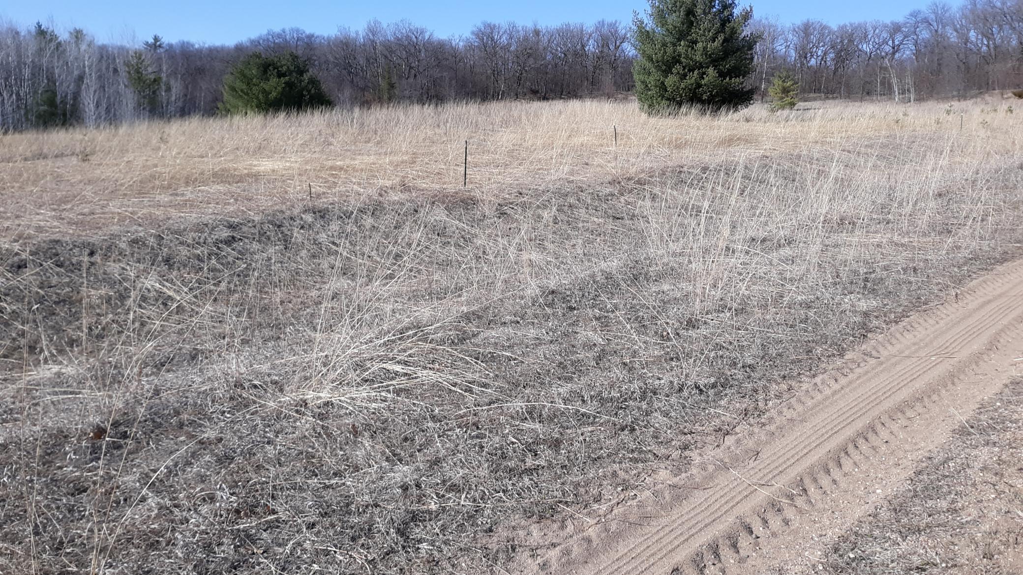 Xx Pacer Loop Property Photo 6