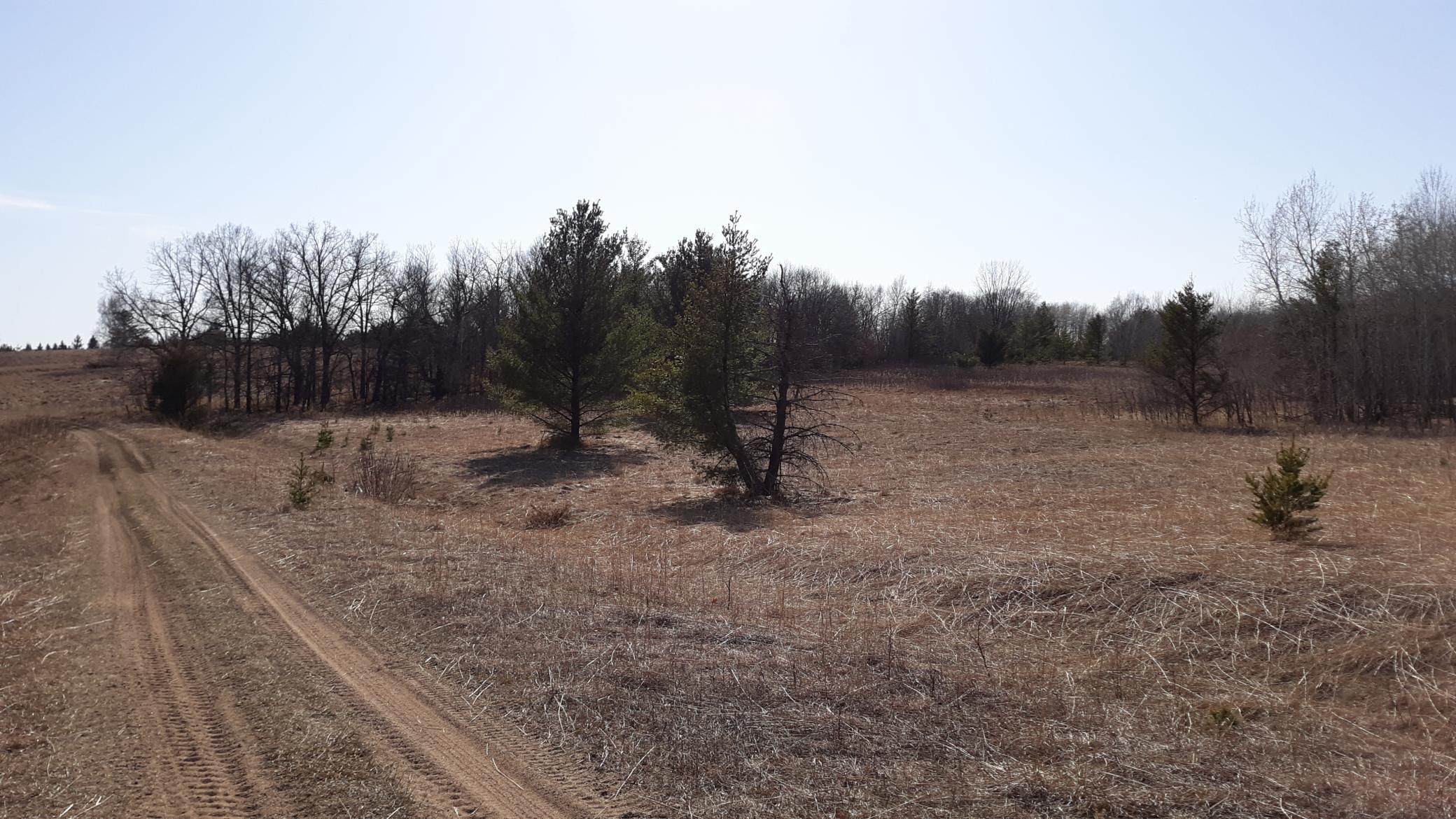 Xx Pacer Loop Property Photo 7