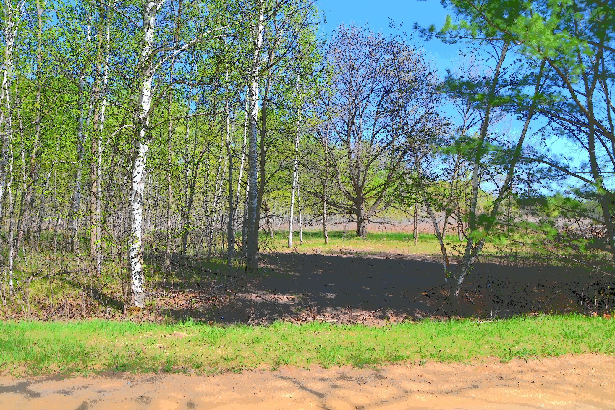Lot 51 Block 12 Poplar Lane Property Photo 1