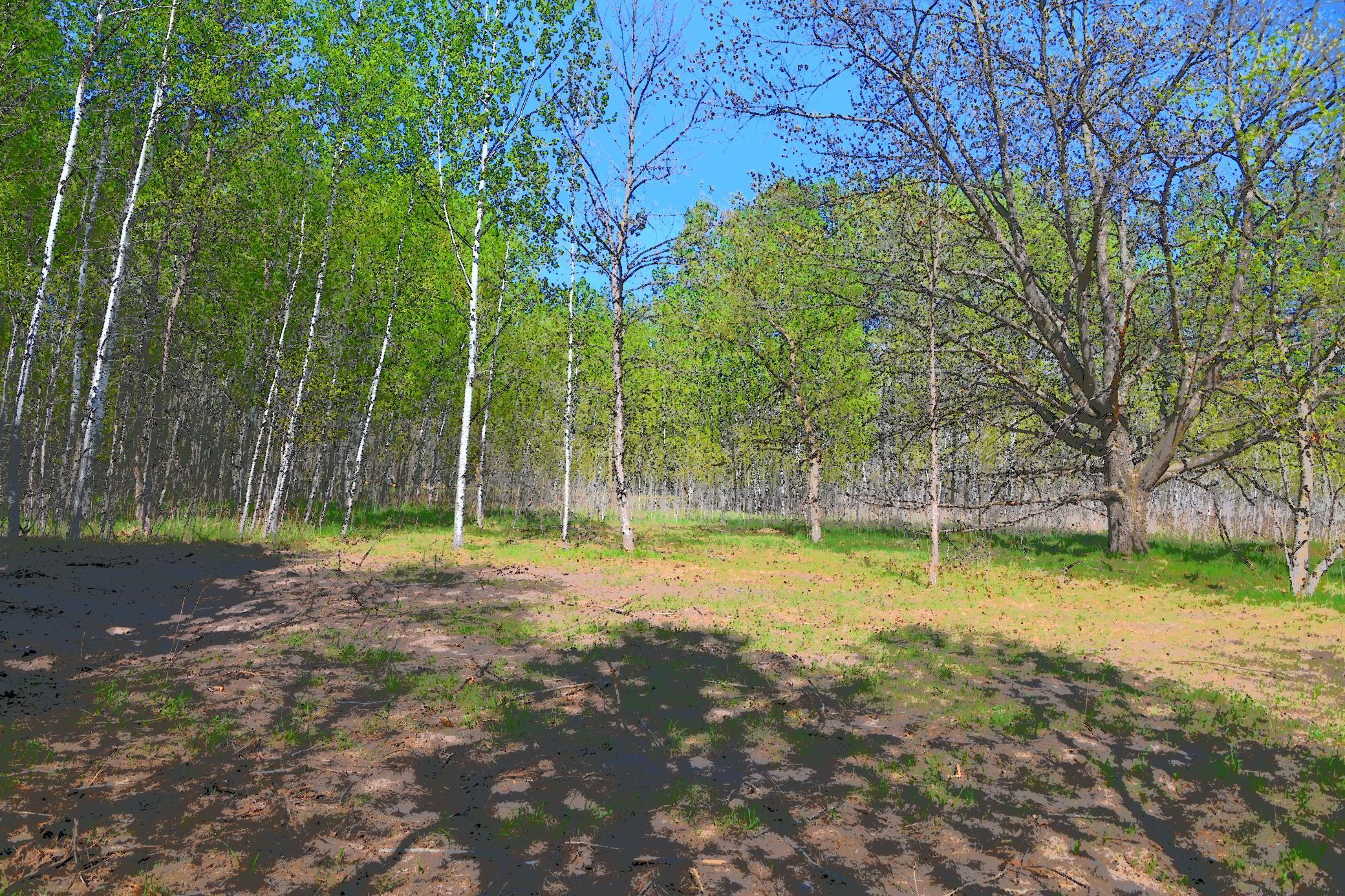Lot 51 Block 12 Poplar Lane Property Photo 4