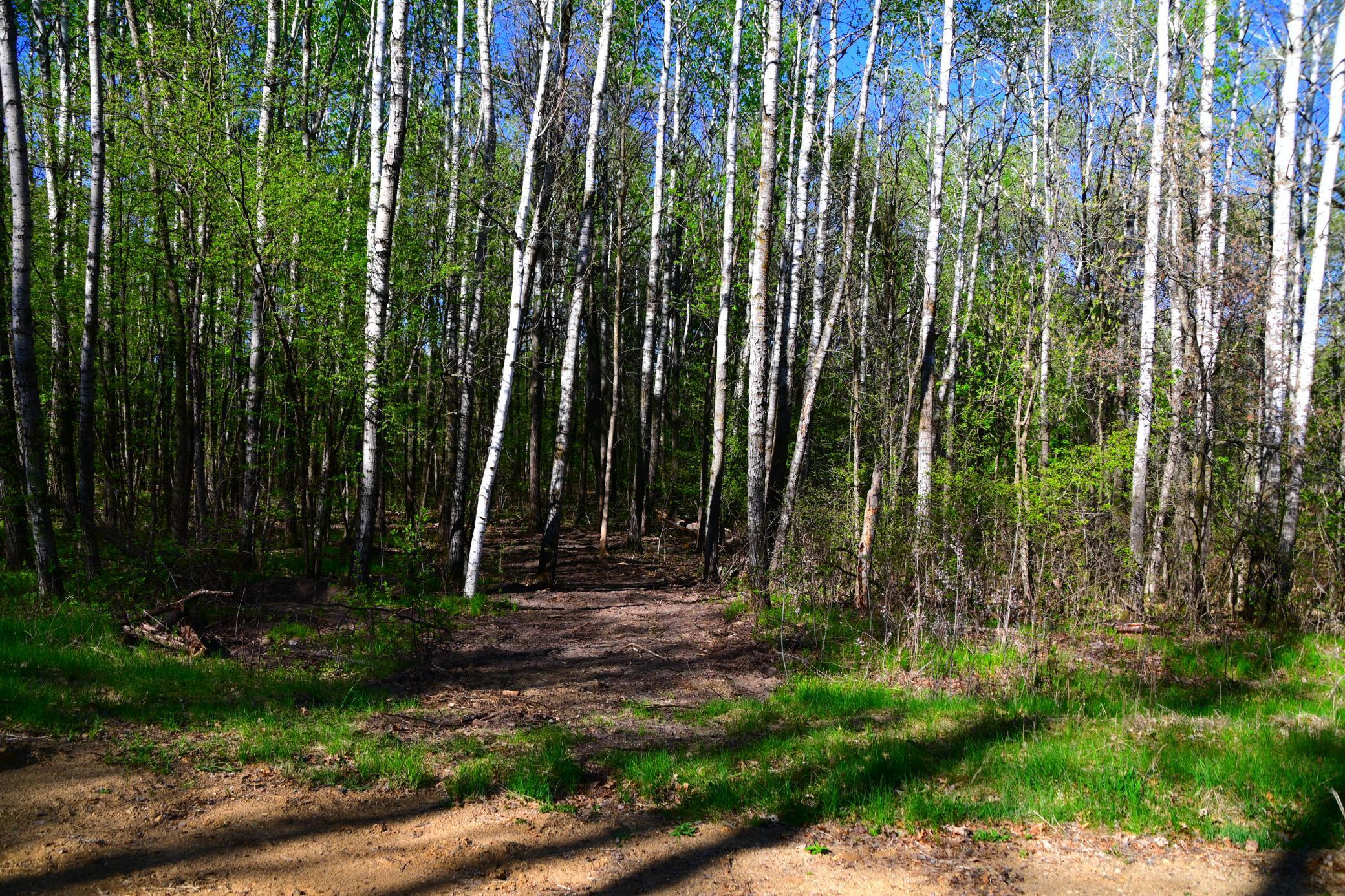 Xxx Oriole Court Property Photo 1