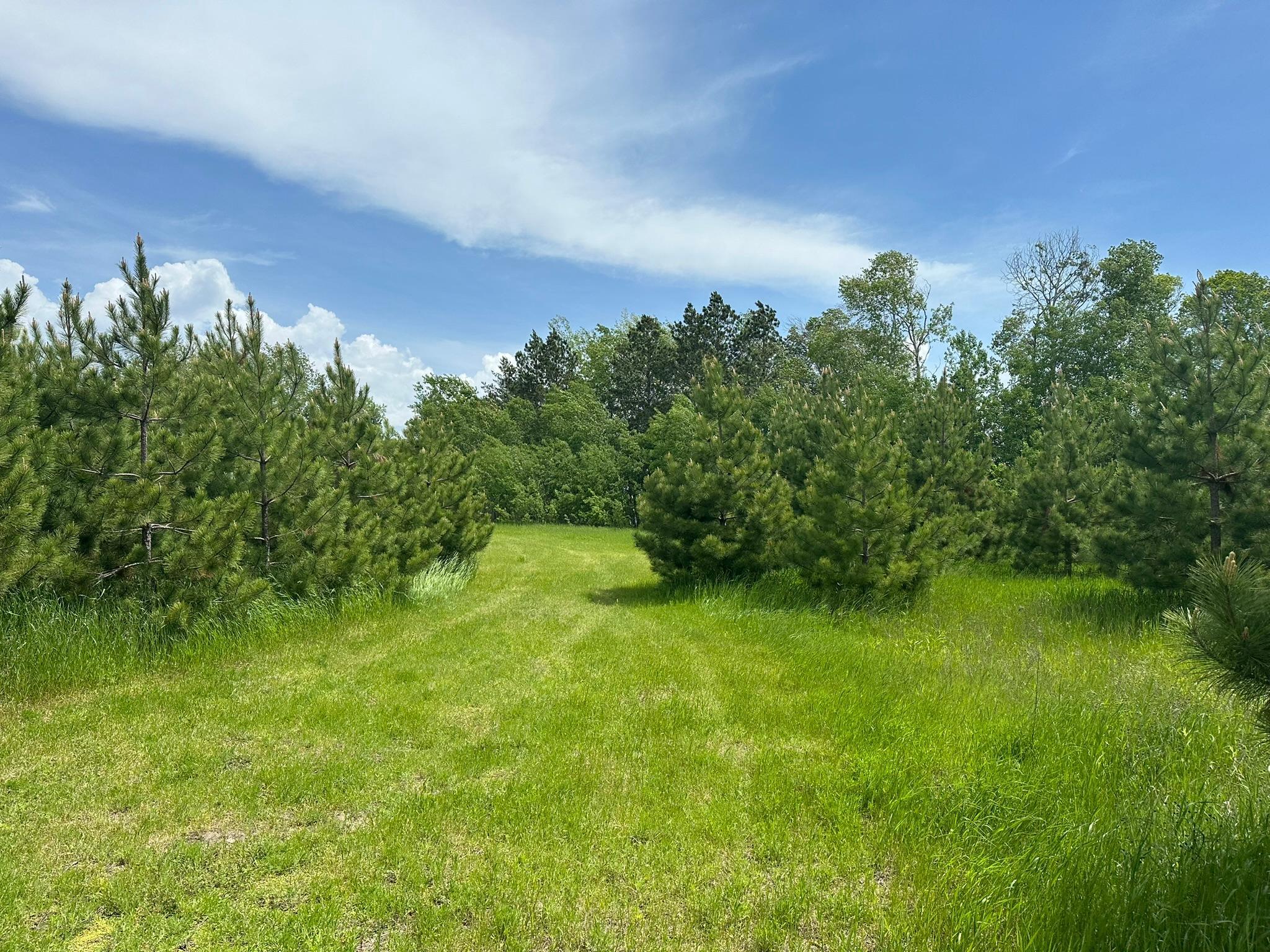 20163 Brush Lake Lane Property Photo 11