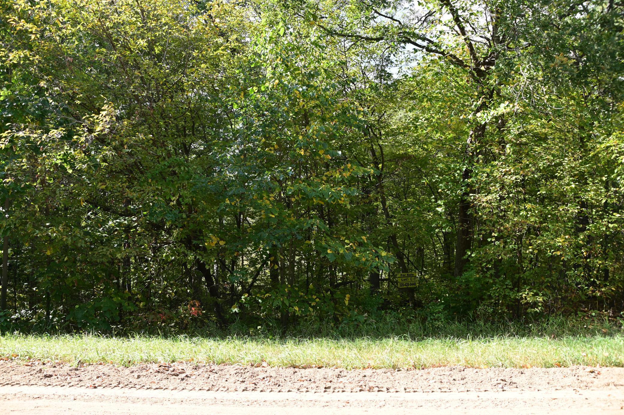 Lot 16 Pine Island Pt Dr Property Photo 1