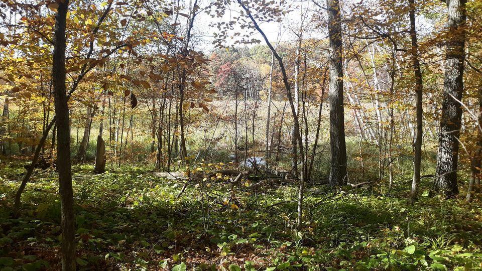 Lot 16 Pine Island Pt Dr Property Photo 3