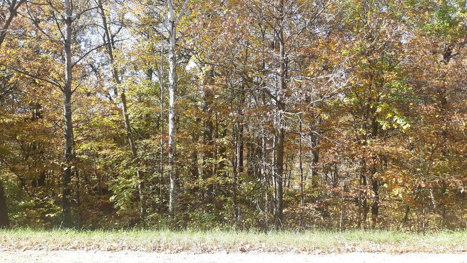 Lot 16 Pine Island Pt Dr Property Photo 8
