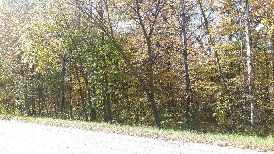 Lot 16 Pine Island Pt Dr Property Photo 9