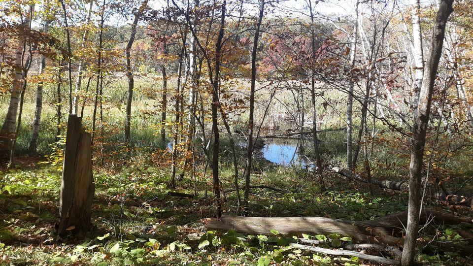 Lot 17 Pine Island Pt Dr Property Photo 1