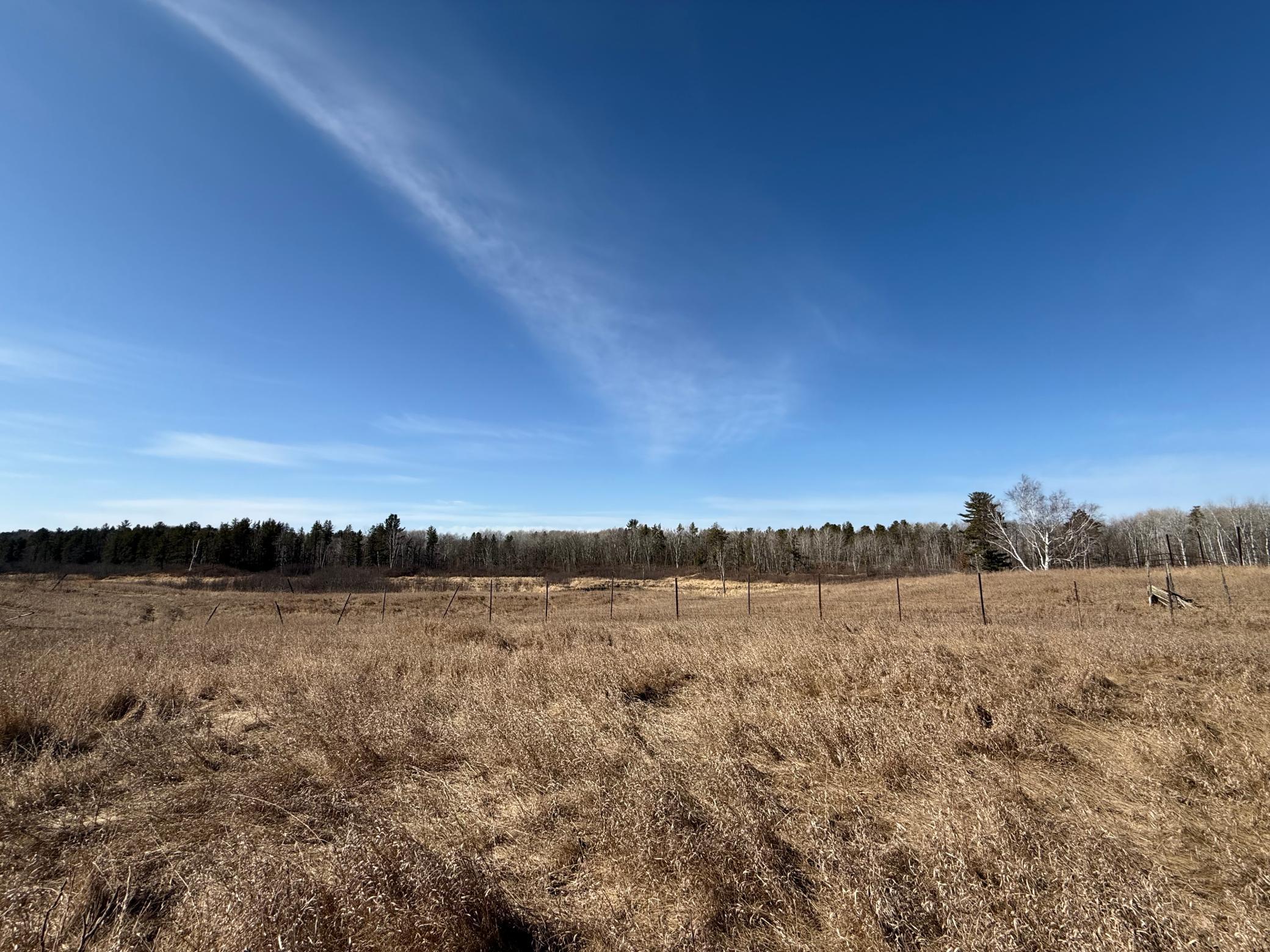 Xxx County Road 134 Property Photo 10