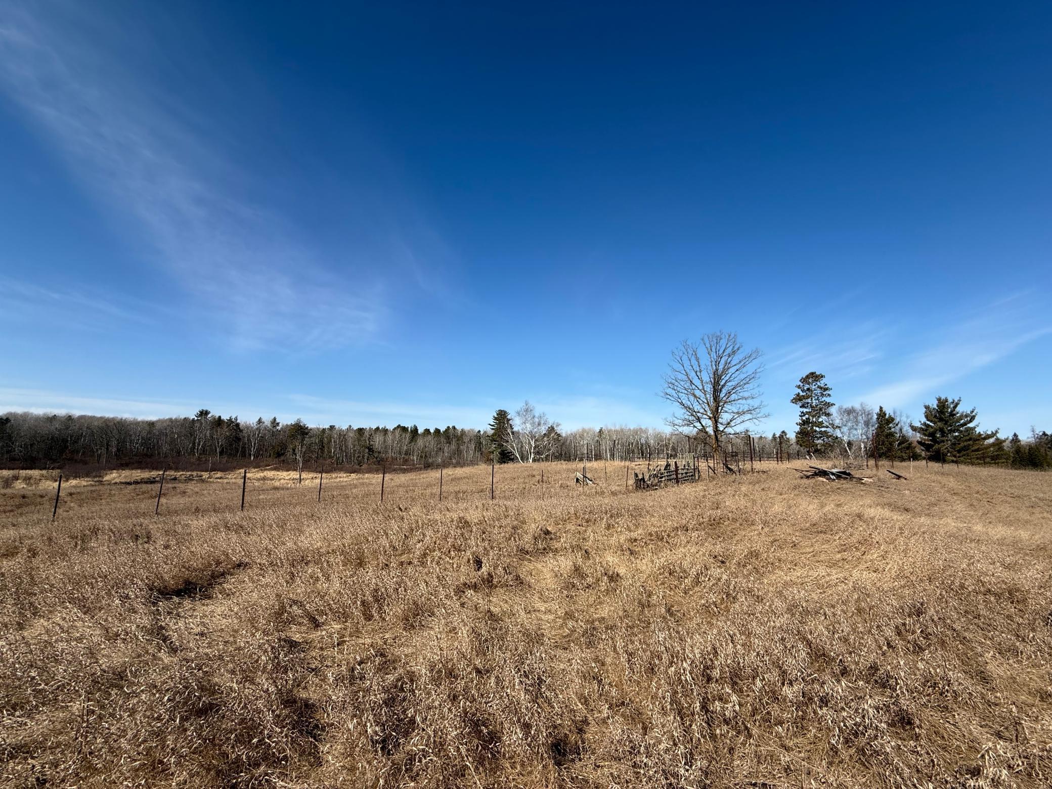 Xxx County Road 134 Property Photo 11