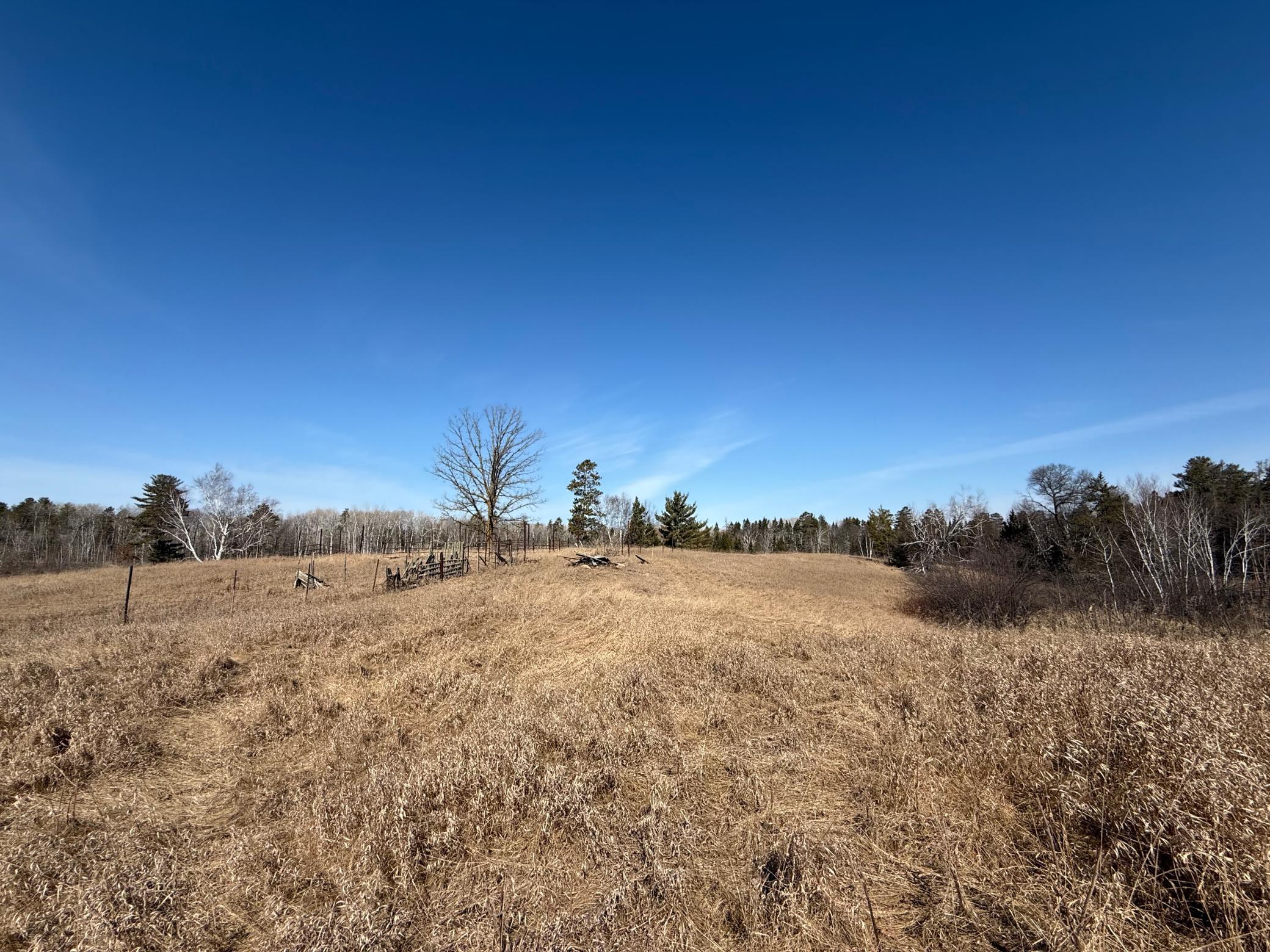 Xxx County Road 134 Property Photo 12