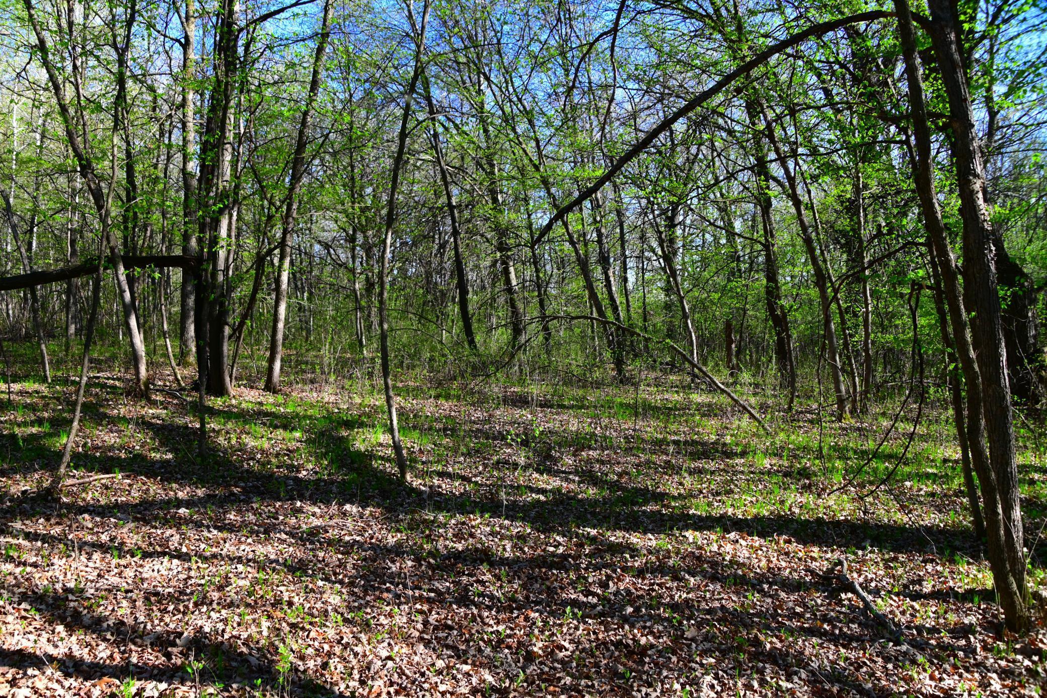 Xx Orchard Drive Property Photo 11