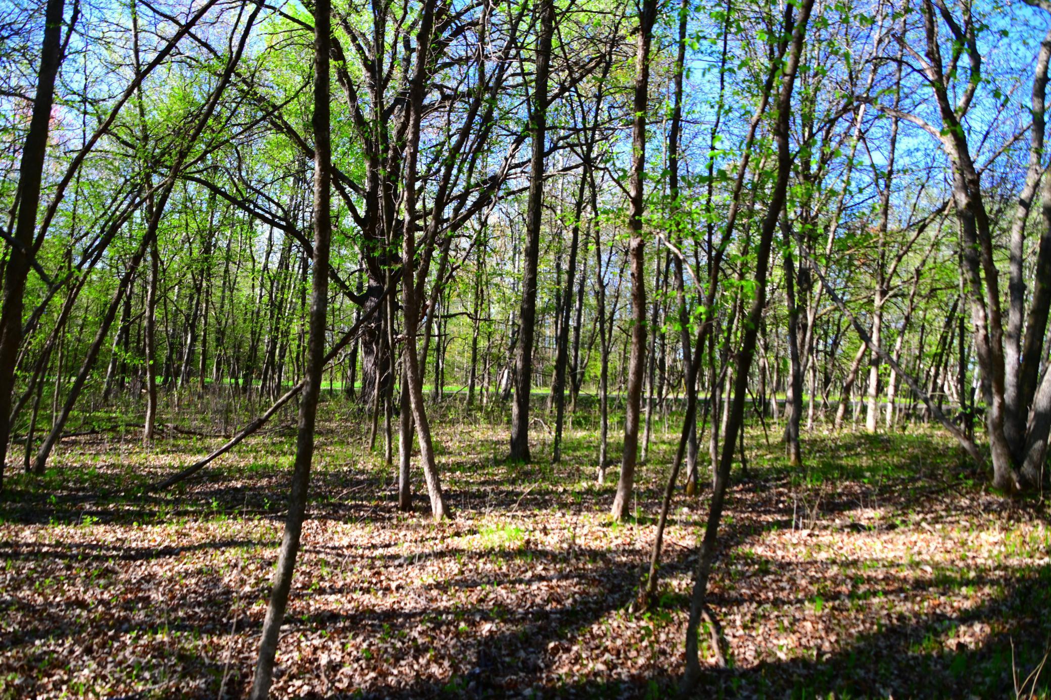 Xx Orchard Drive Property Photo 12