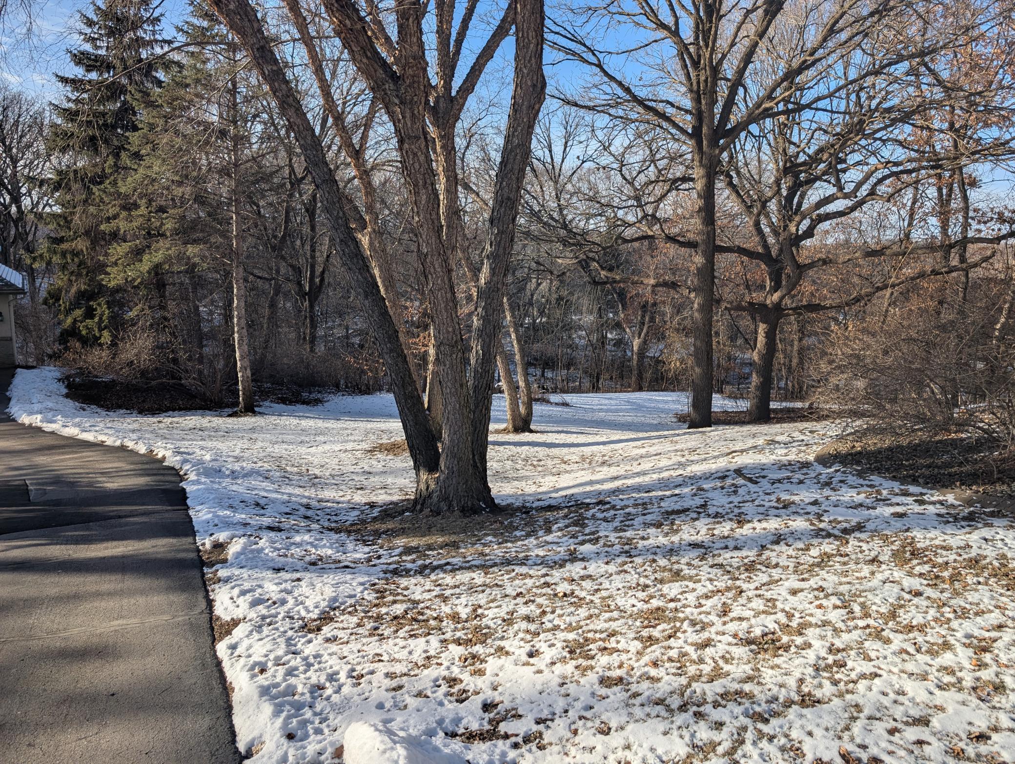 1136x Hawk High Court Property Photo 1