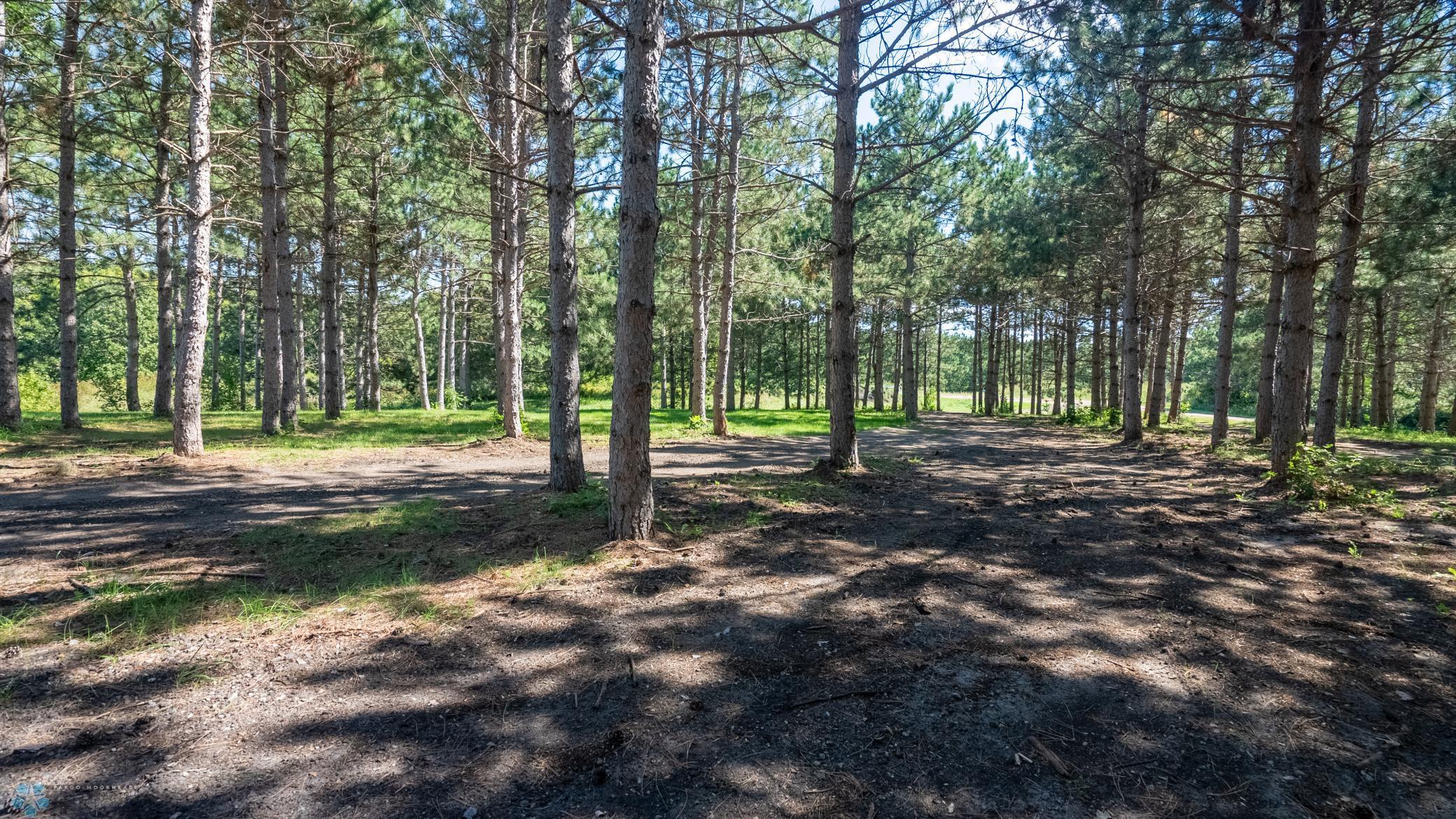 20291 Swenson Drive Property Photo 6