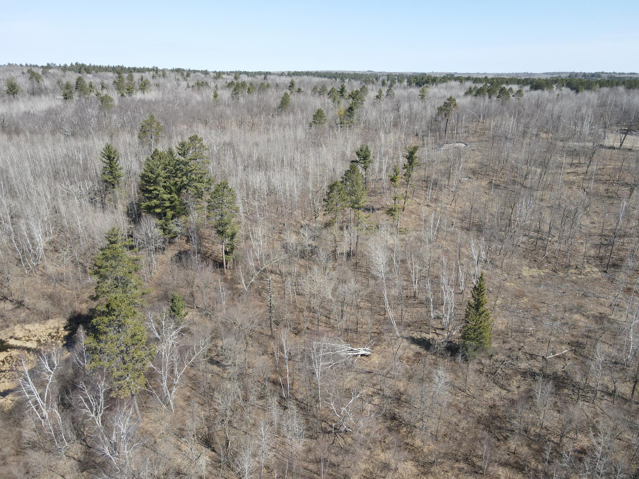 14xxx Walde Rd Property Photo 33