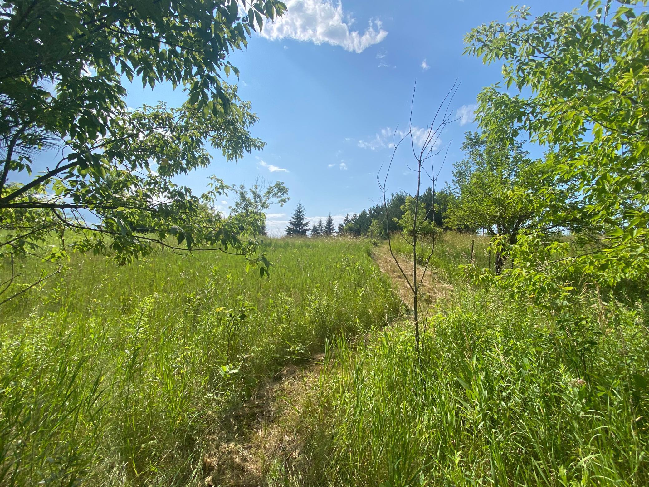 Xxb Sprandel Road Property Photo