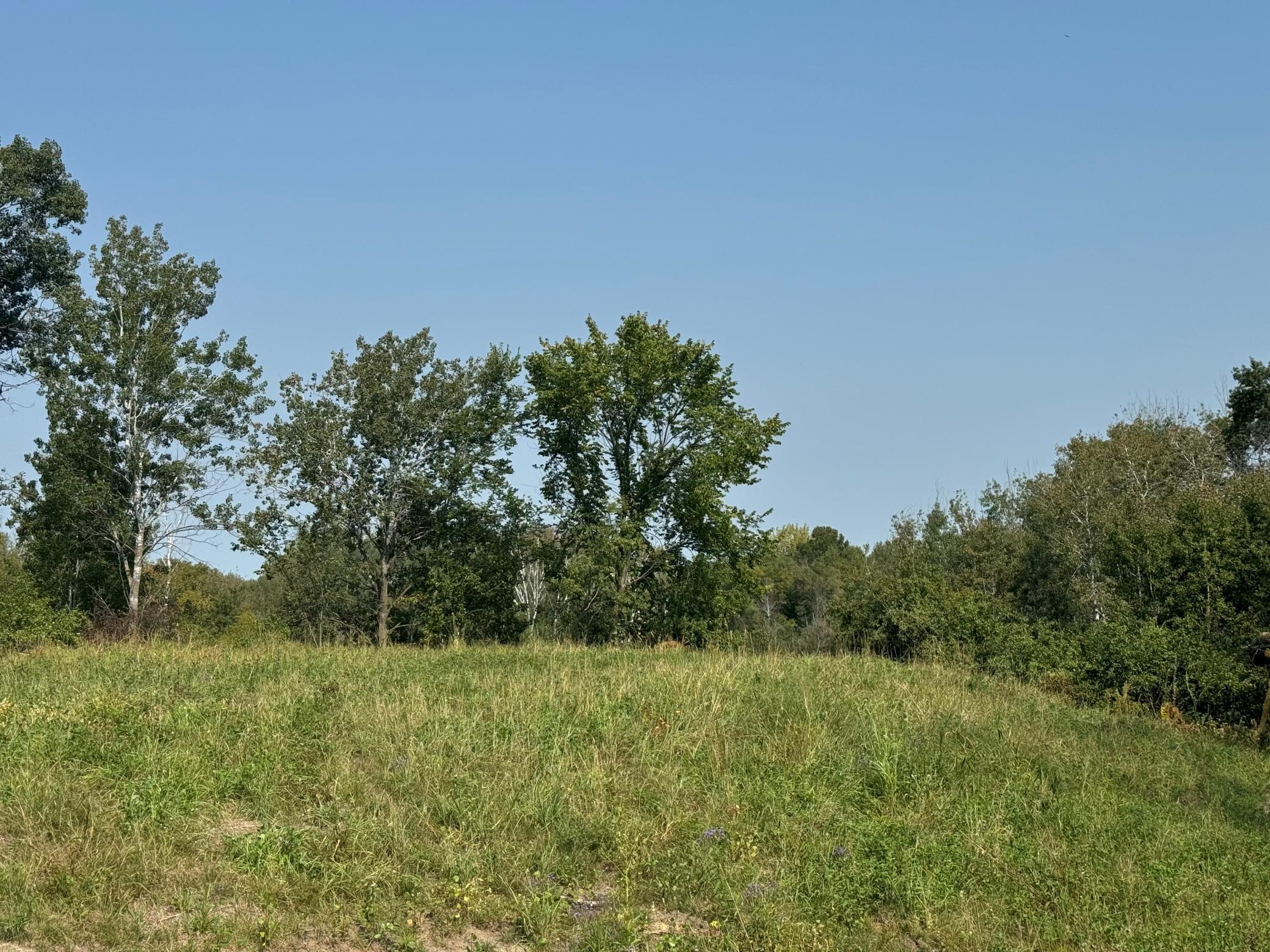 14985 Stutz Street Property Photo 1