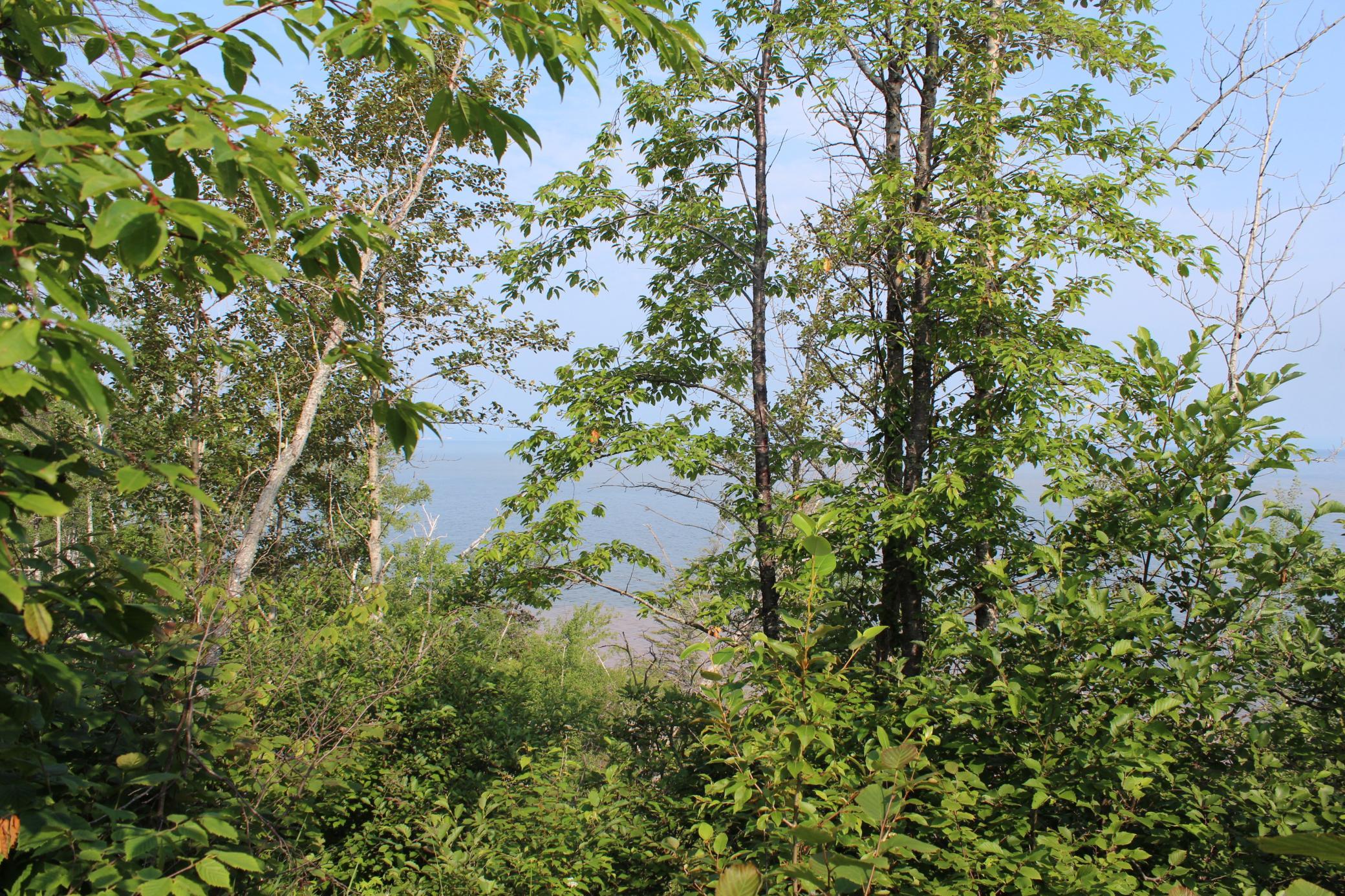 Lot 1 E Camp Amnicon Road Property Photo 1
