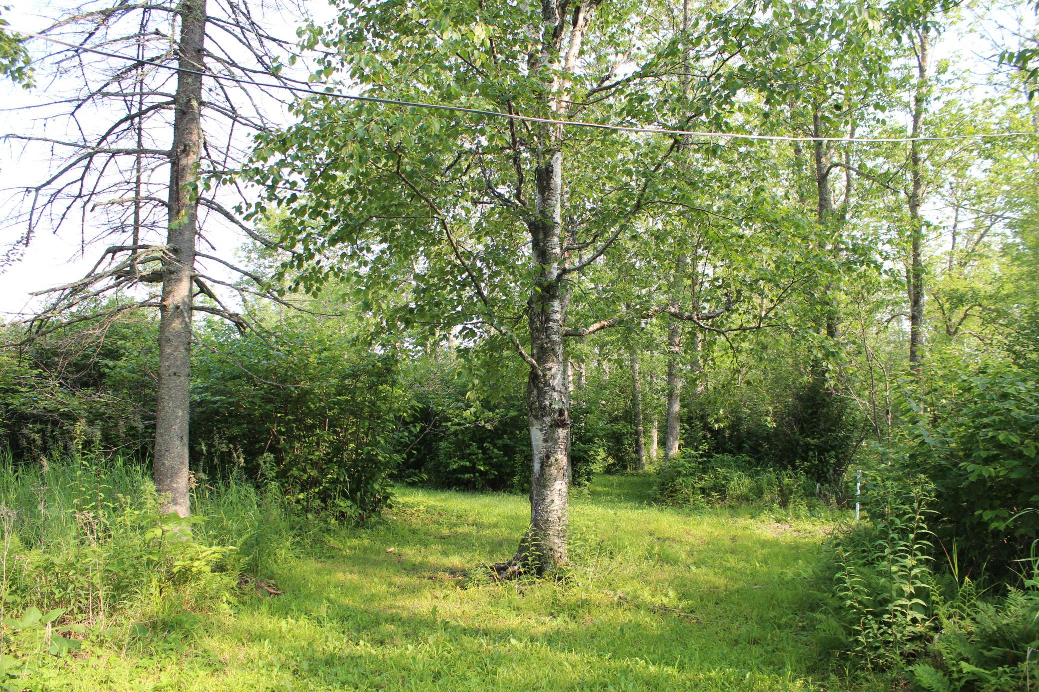 Lot 1 E Camp Amnicon Road Property Photo 2