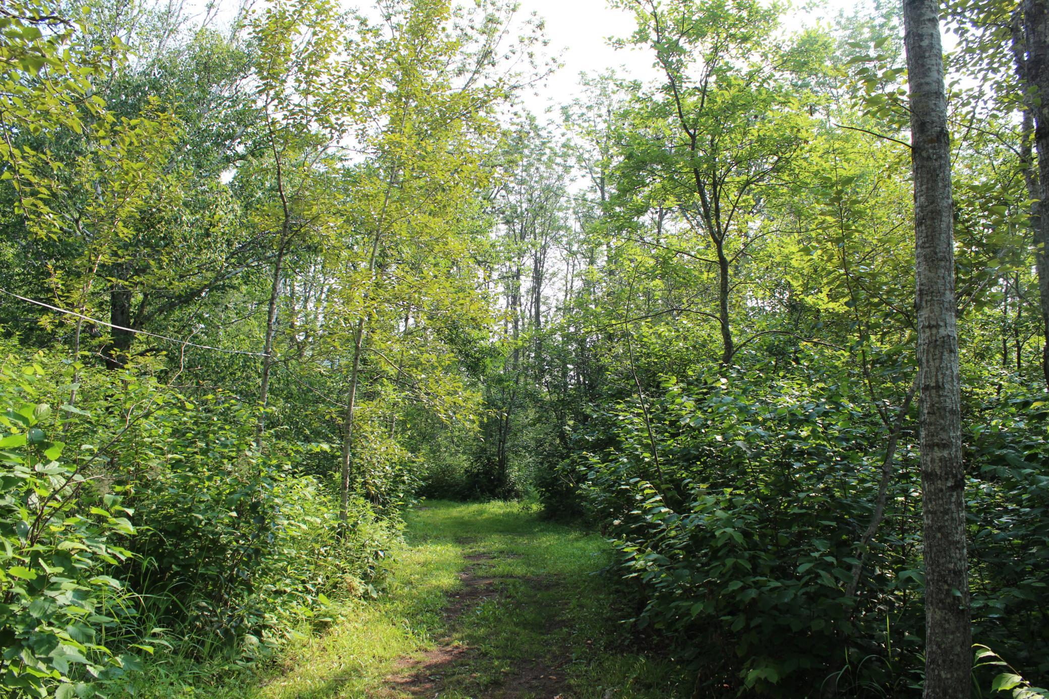 Lot 1 E Camp Amnicon Road Property Photo 10