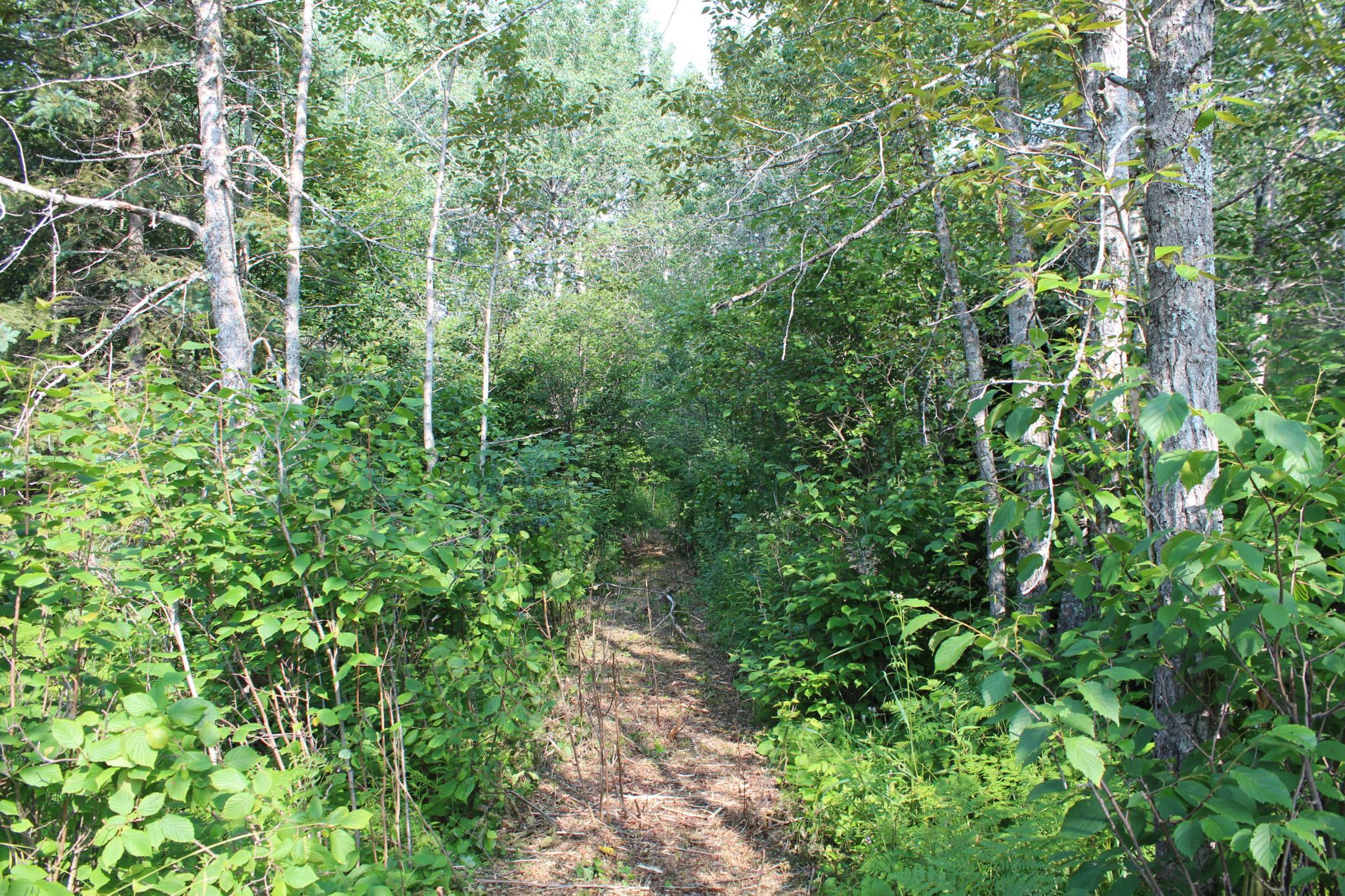 Lot 1 E Camp Amnicon Road Property Photo 11
