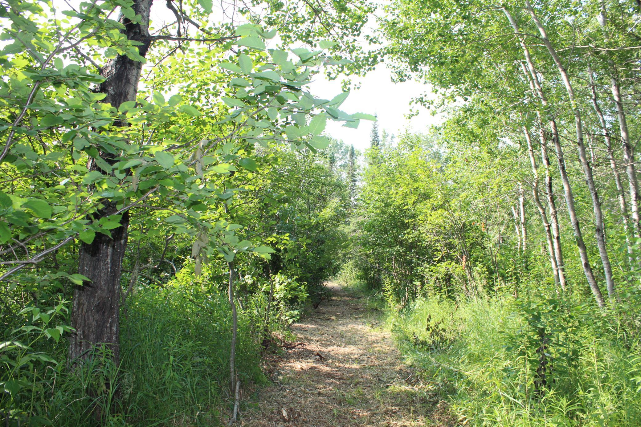 Lot 1 E Camp Amnicon Road Property Photo 12
