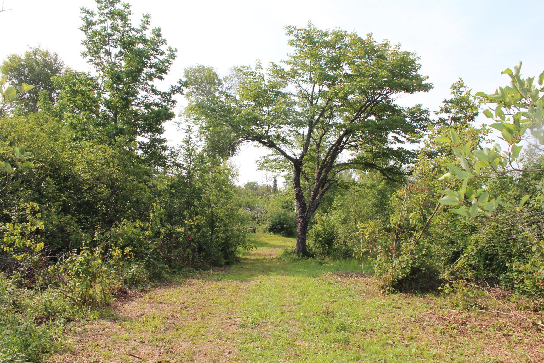 Lot 1 E Camp Amnicon Road Property Photo 15