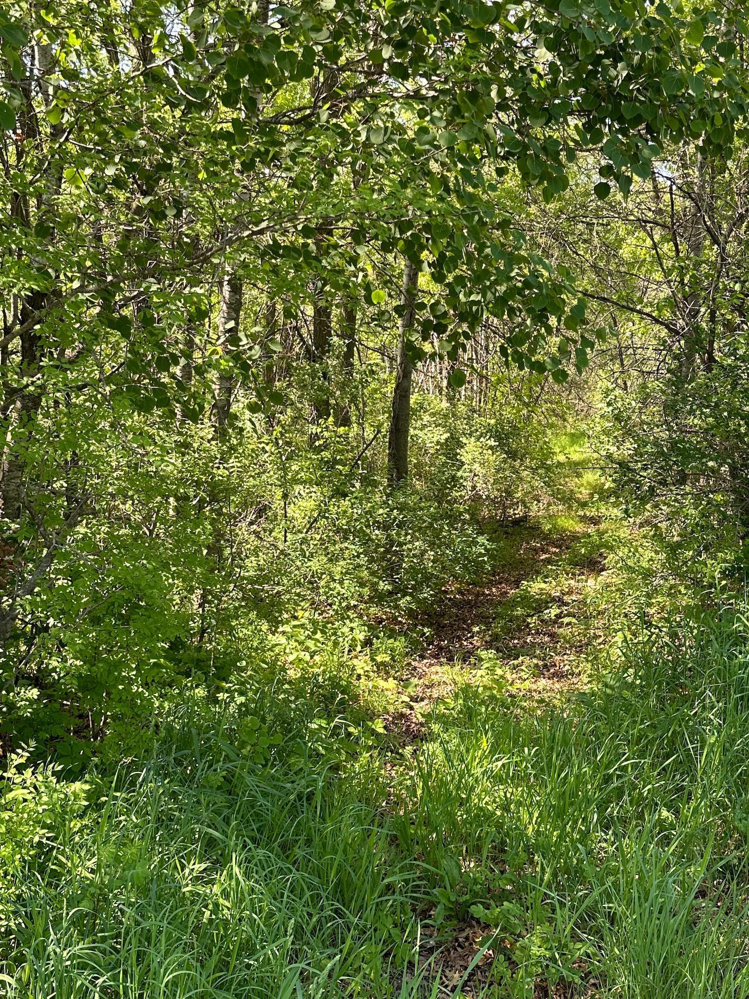 Tbd 140th Street Property Photo 5